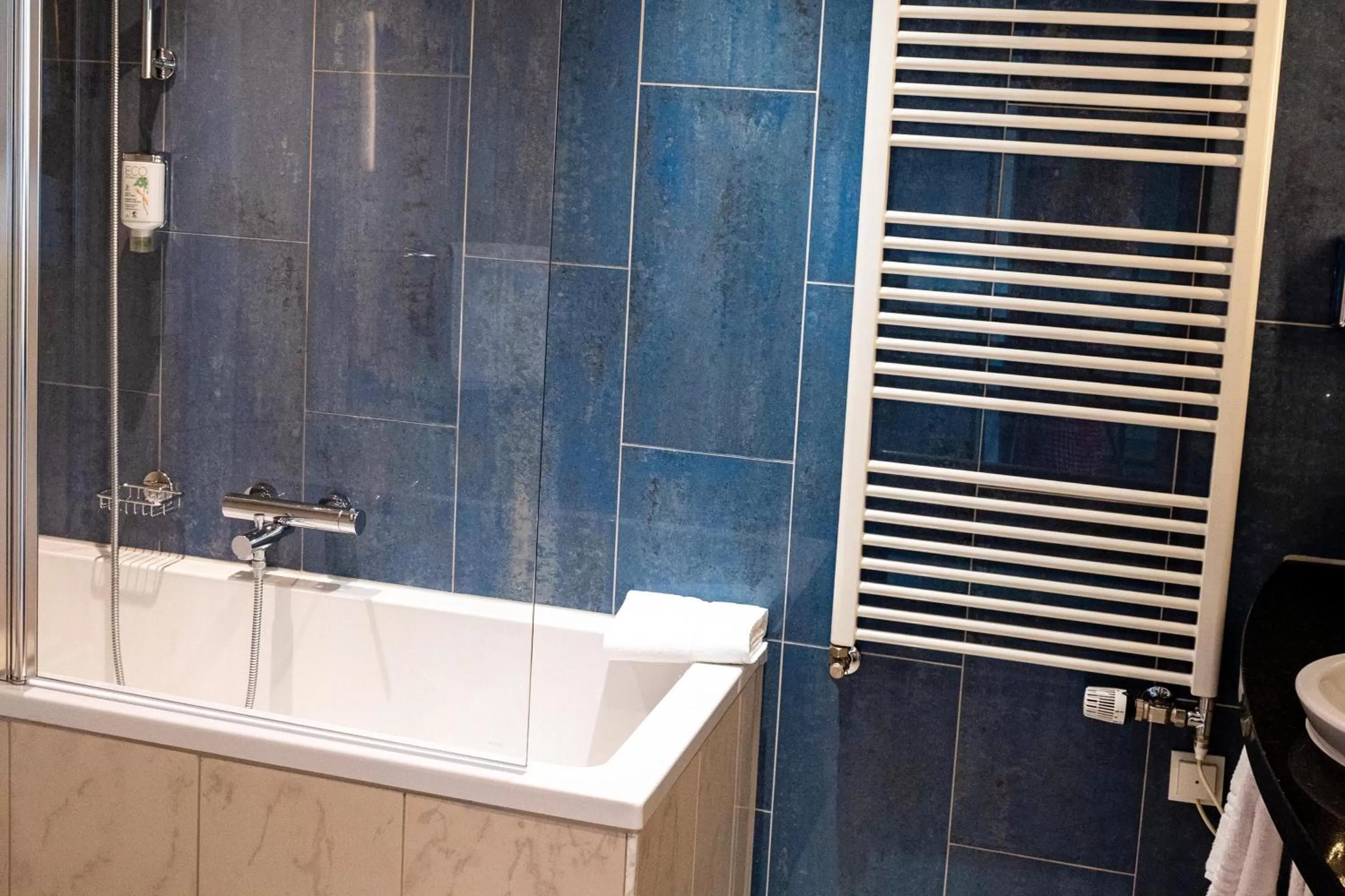 Shower in Doubletree by Hilton Ljubljana