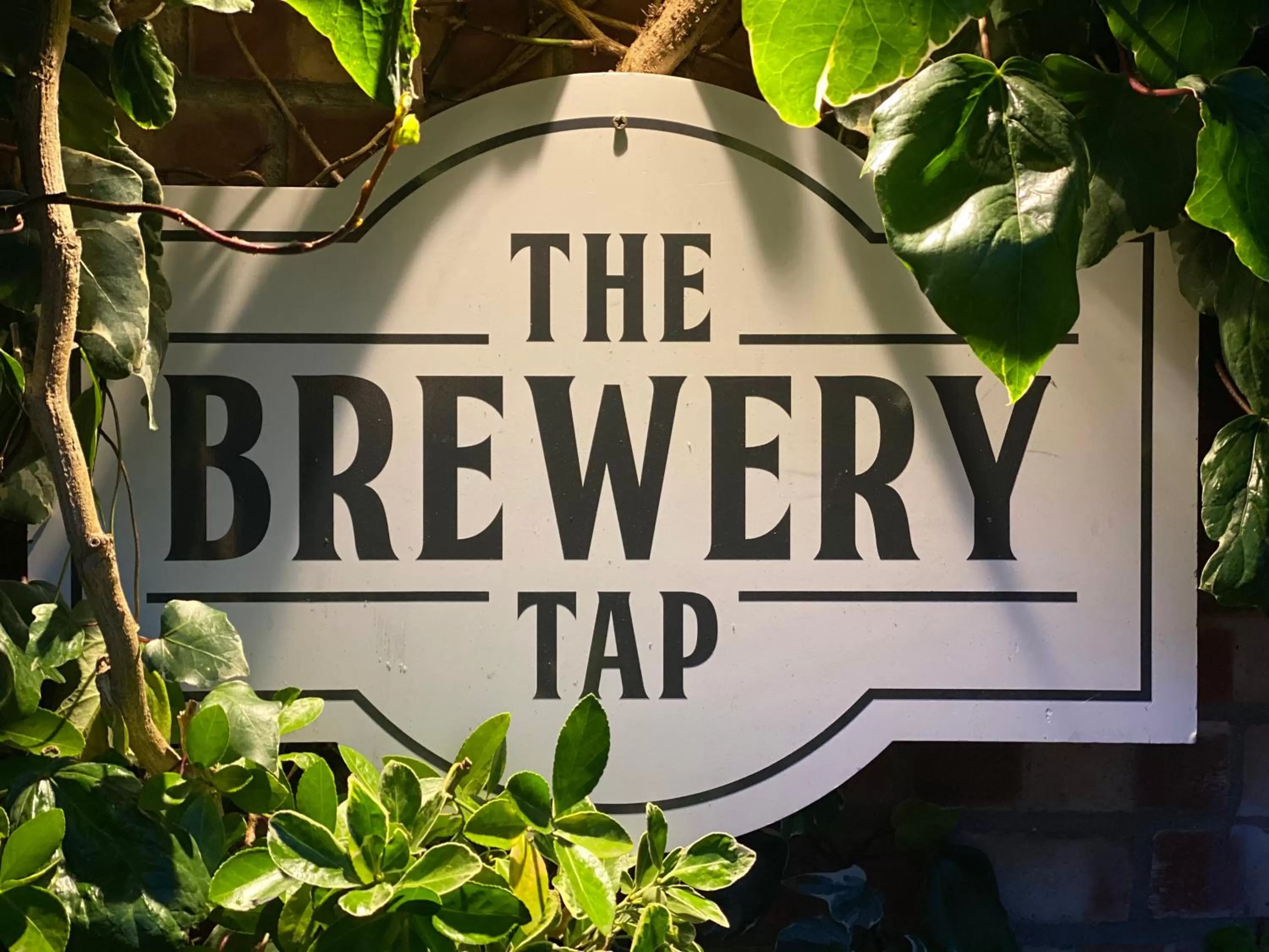 Logo/Certificate/Sign in The Brewery Tap