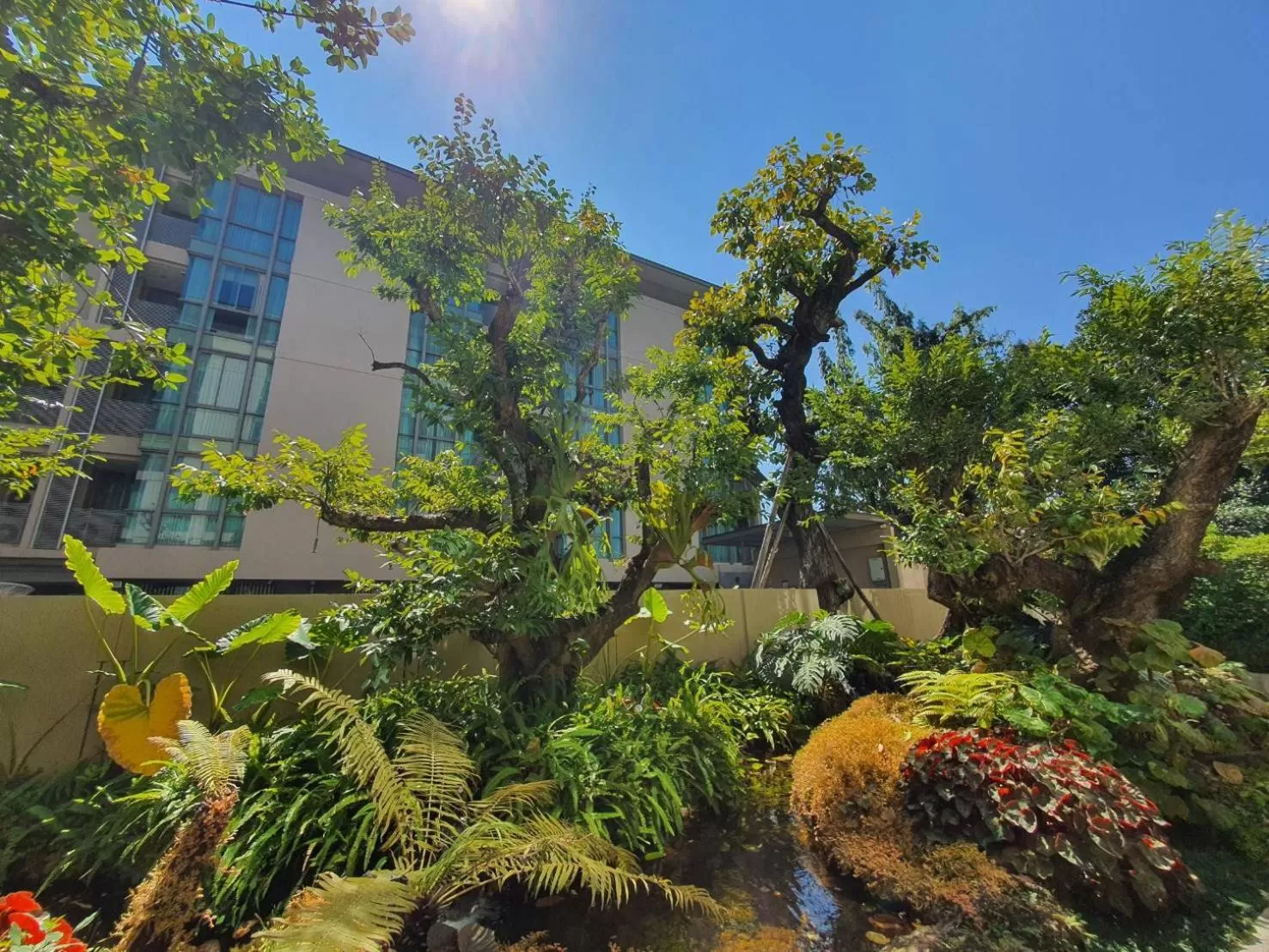Garden in Ana Park Residence