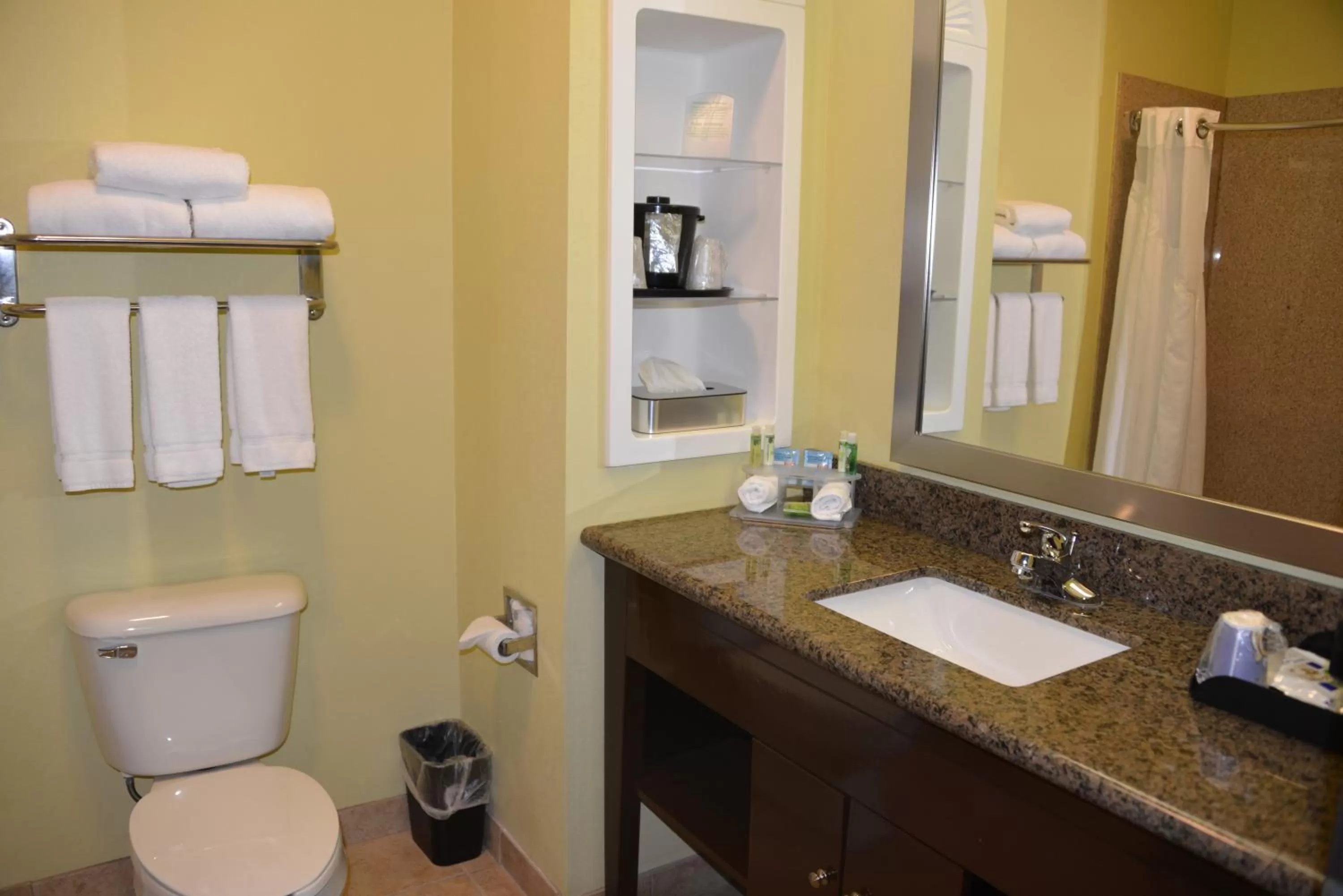 Bathroom in Holiday Inn Express Hotel & Suites Dumas by IHG