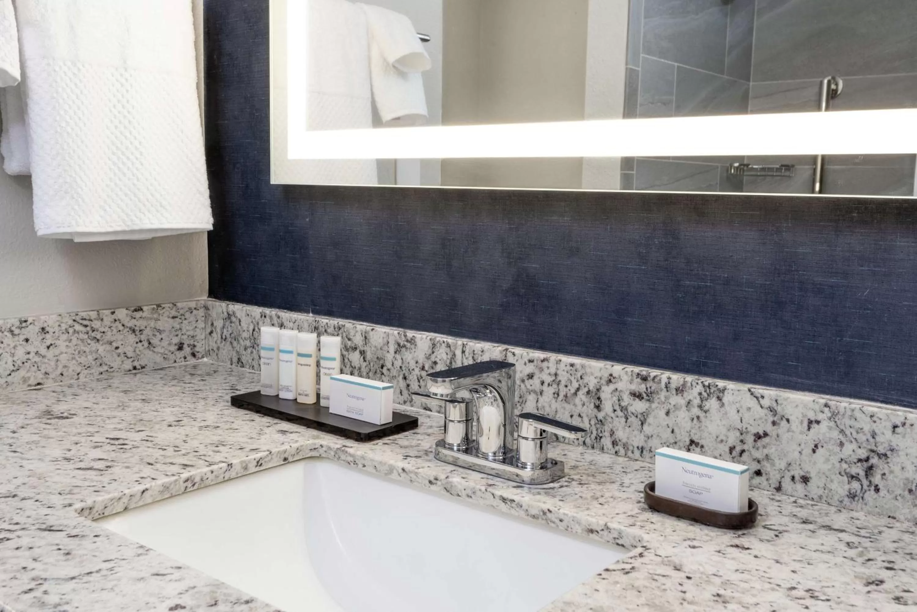 Bathroom in Embassy Suites by Hilton Tucson East