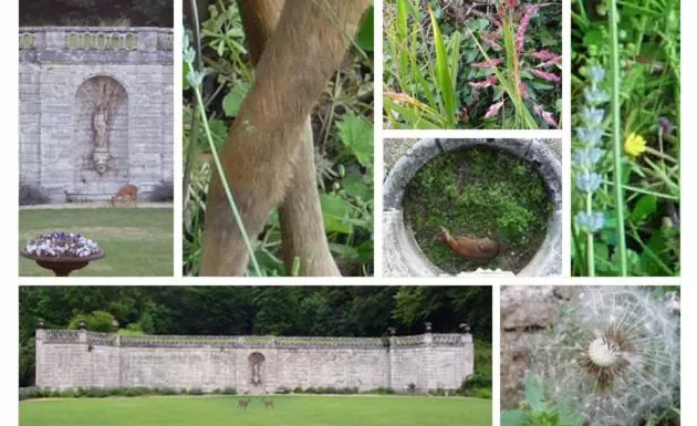 Decorative detail in La Grande Maison