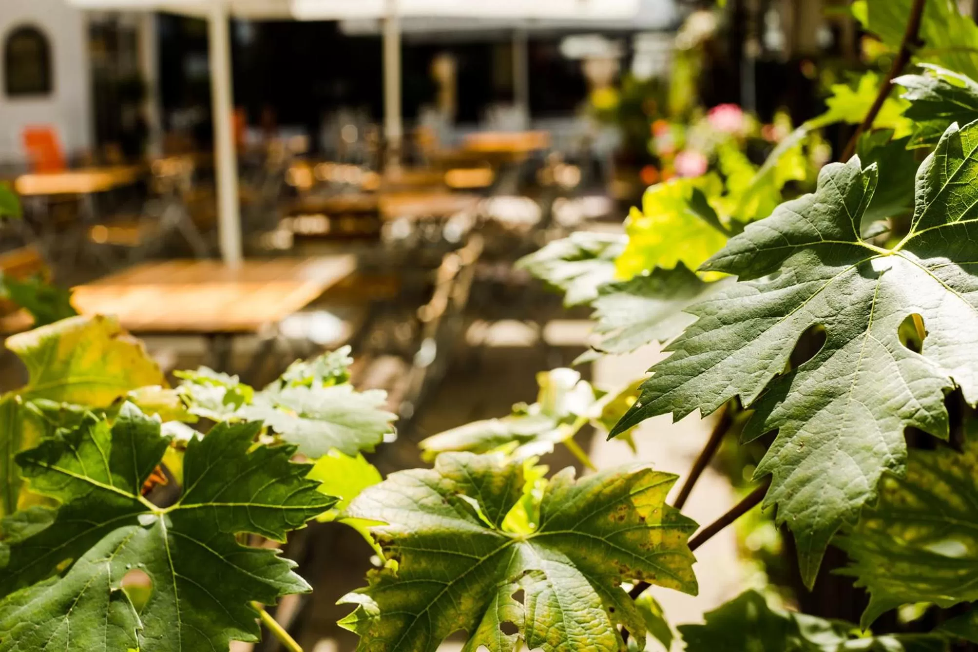 Property building in Parkhotel Krone