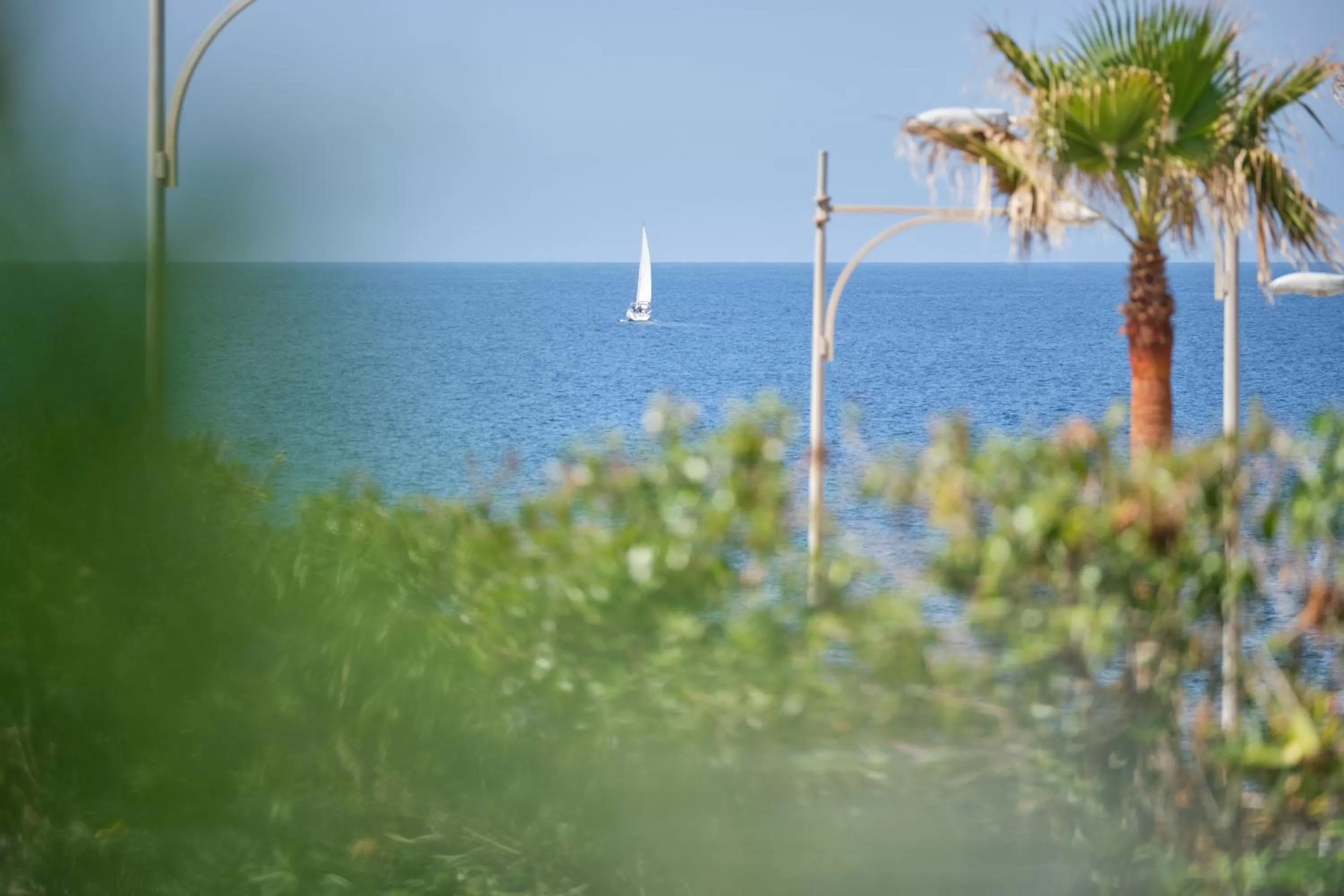 Natural landscape in Hotel Villa Chiquita - Adults Only - Over 12