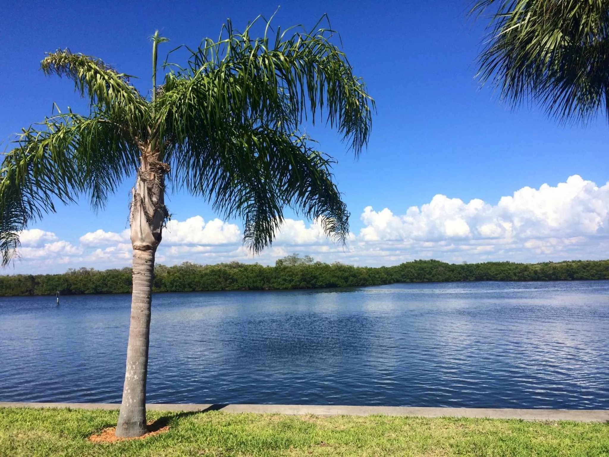 Nearby landmark in TAMPA BAY, BEACH step away, WIFI, FREE PARKING,POOLS, JACUZZI