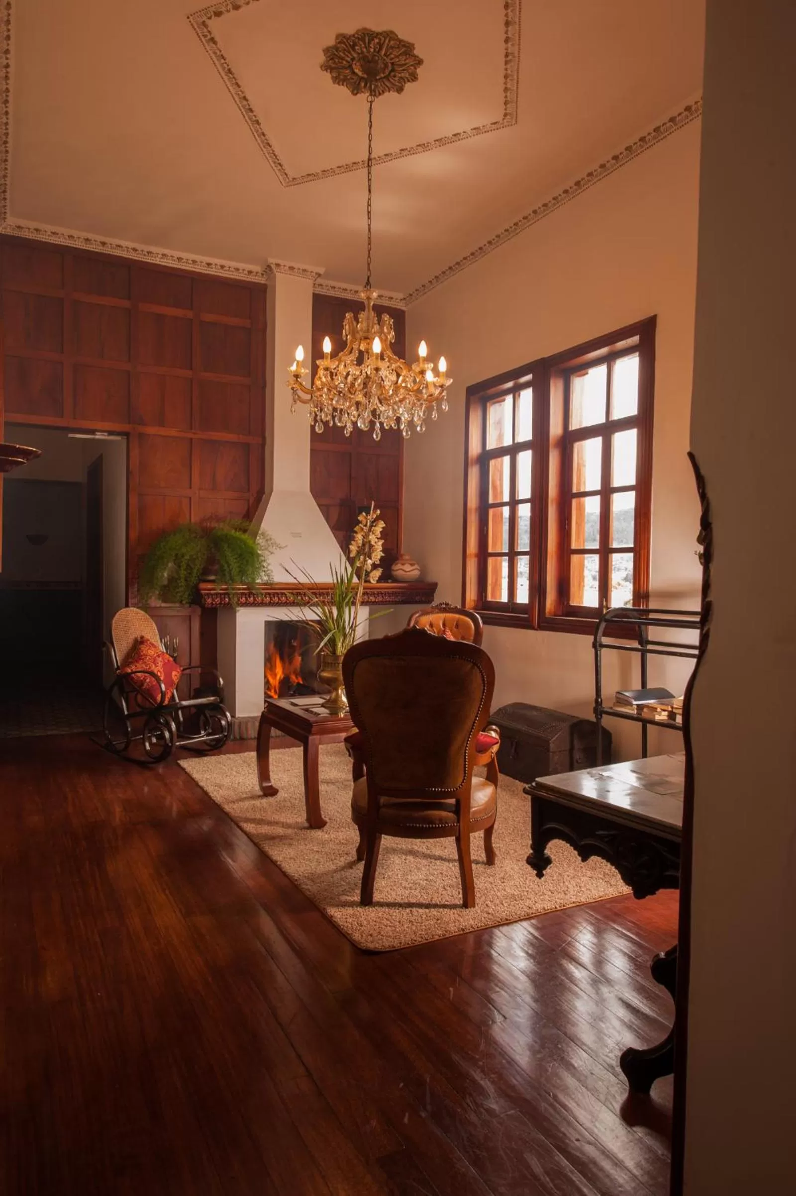 Library, Seating Area in Hotel Victoria