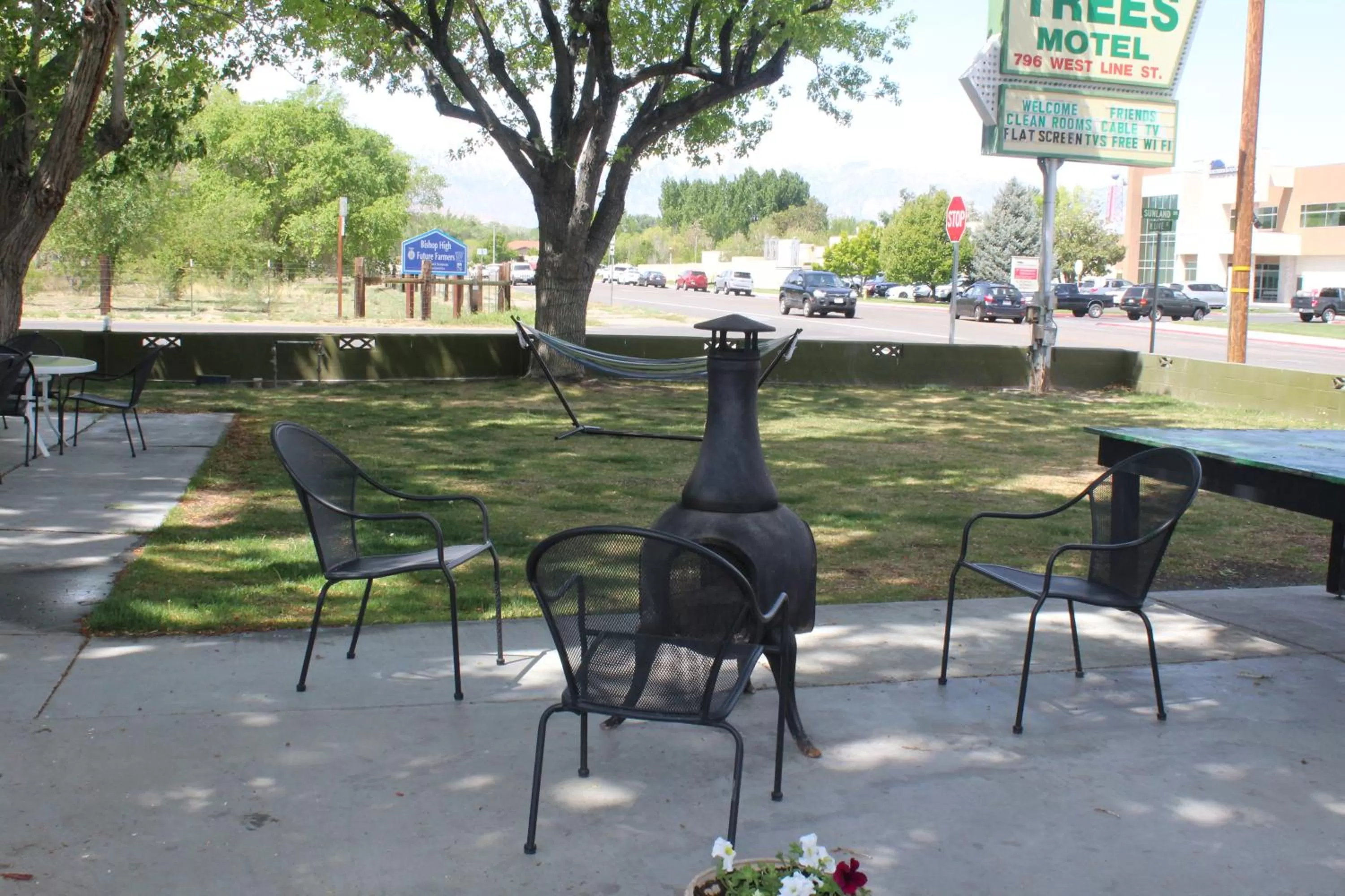 Property building in Trees Motel