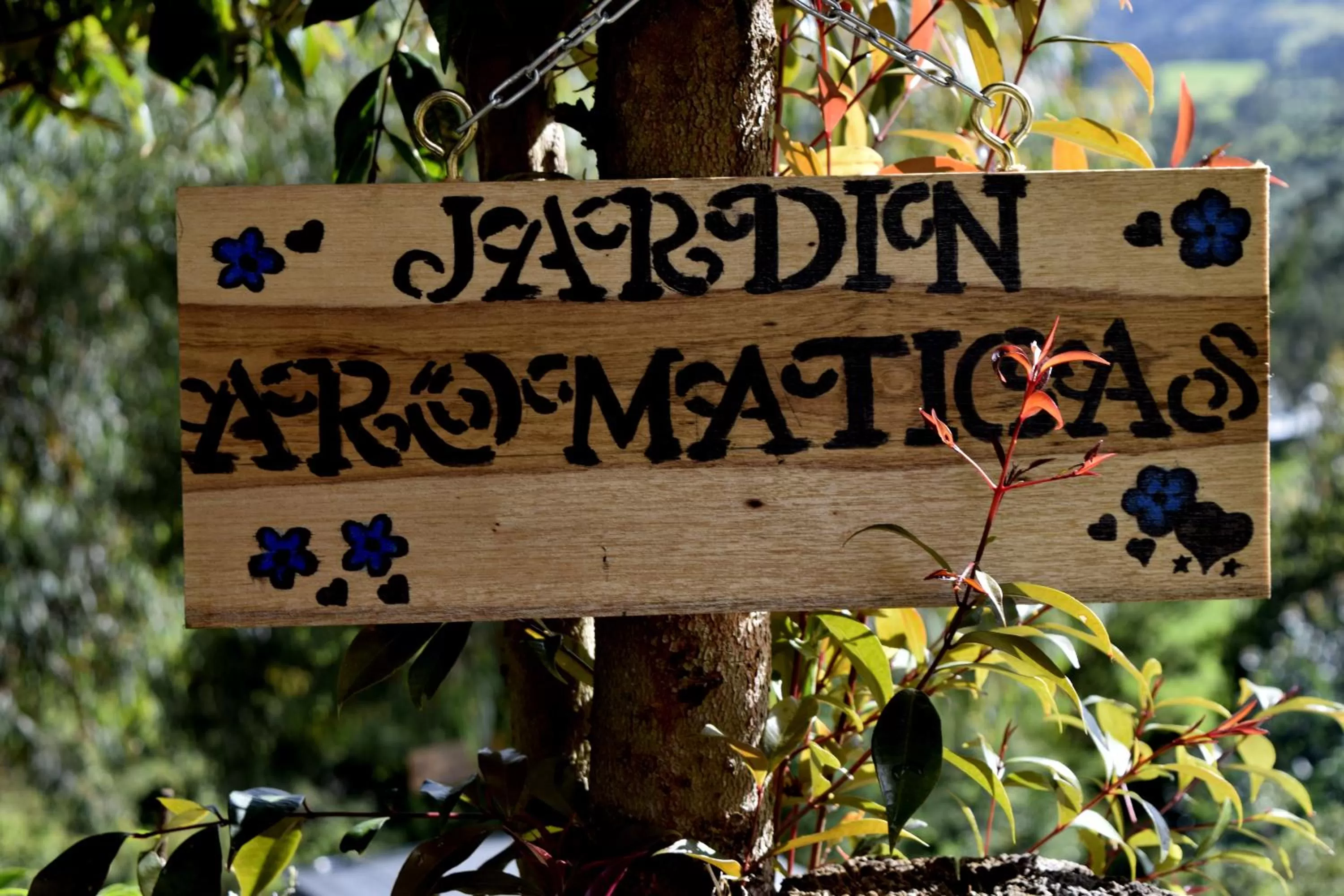 Natural landscape in El Pedregal Sopó