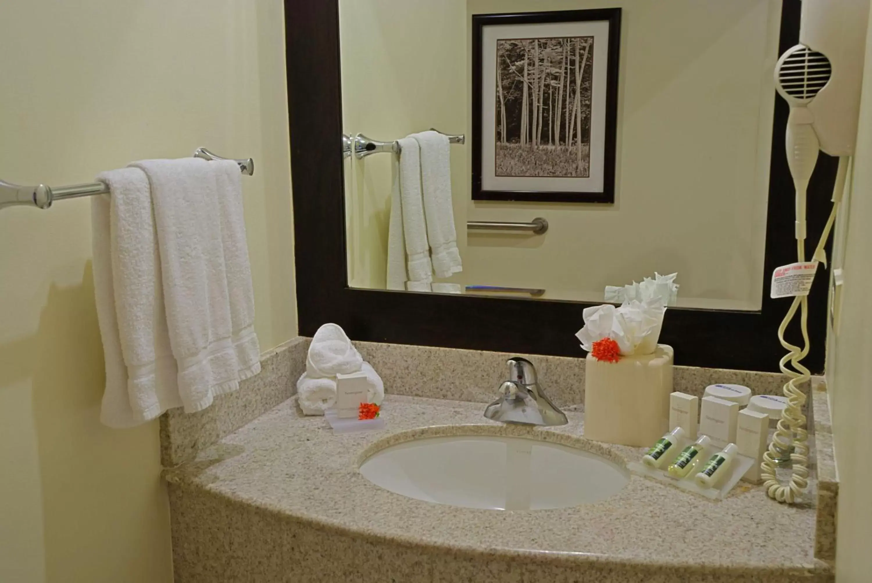 King Room - Disability Access in Hilton Garden Inn Guanacaste Airport King Room - Disability Access in Hilton Garden Inn Guanacaste Airport