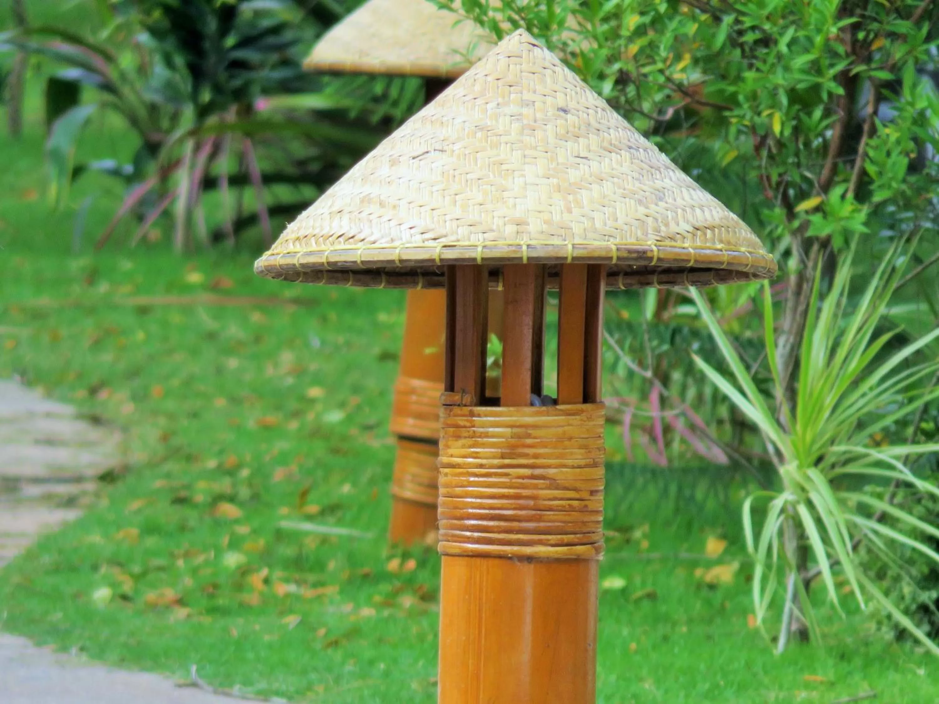 Garden in Kav's Beach Resort