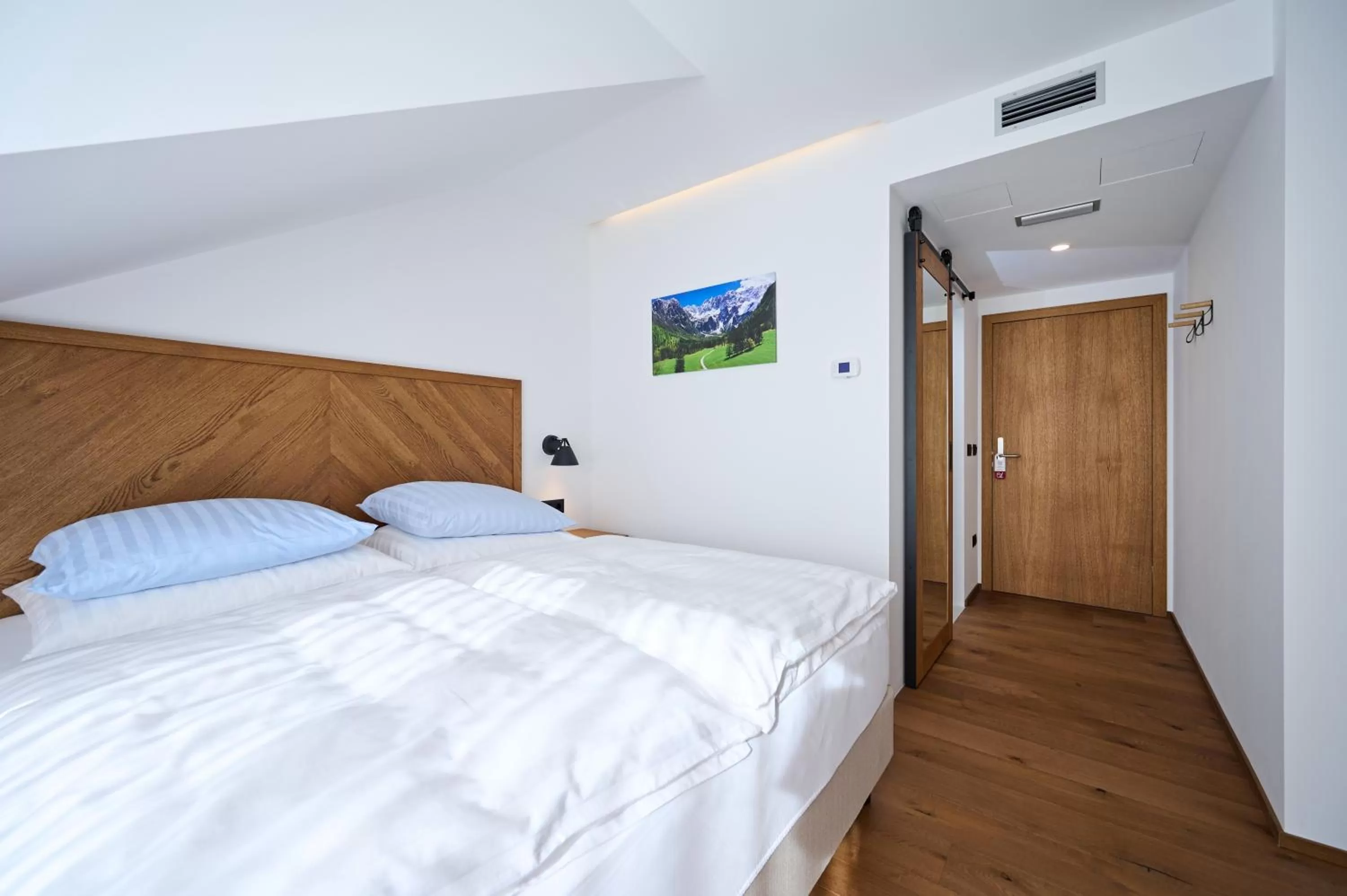 Photo of the whole room, Bed in Hiša Ančka