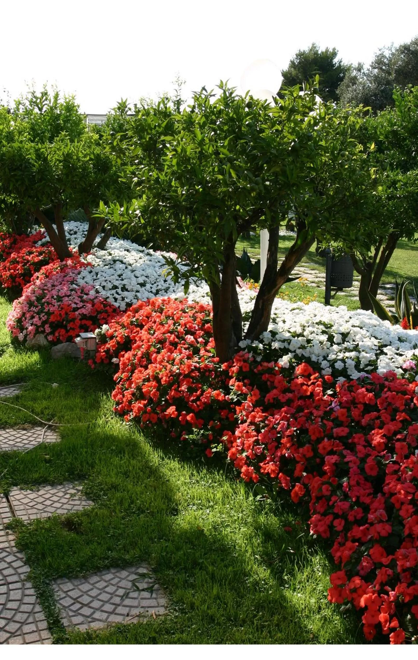Garden in La Medusa Hotel - Dimora di Charme