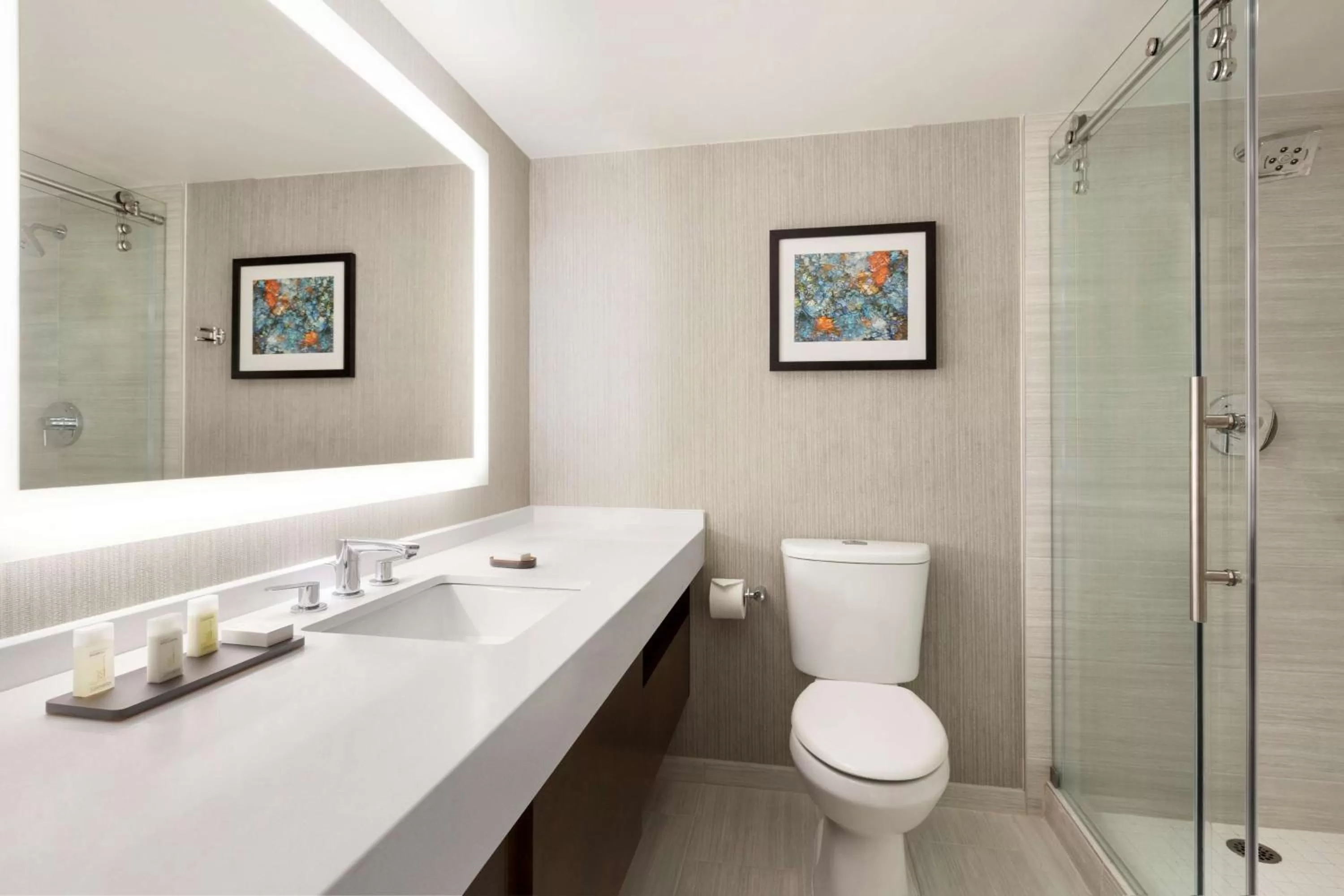 Bathroom in Embassy Suites by Hilton Chicago Lombard