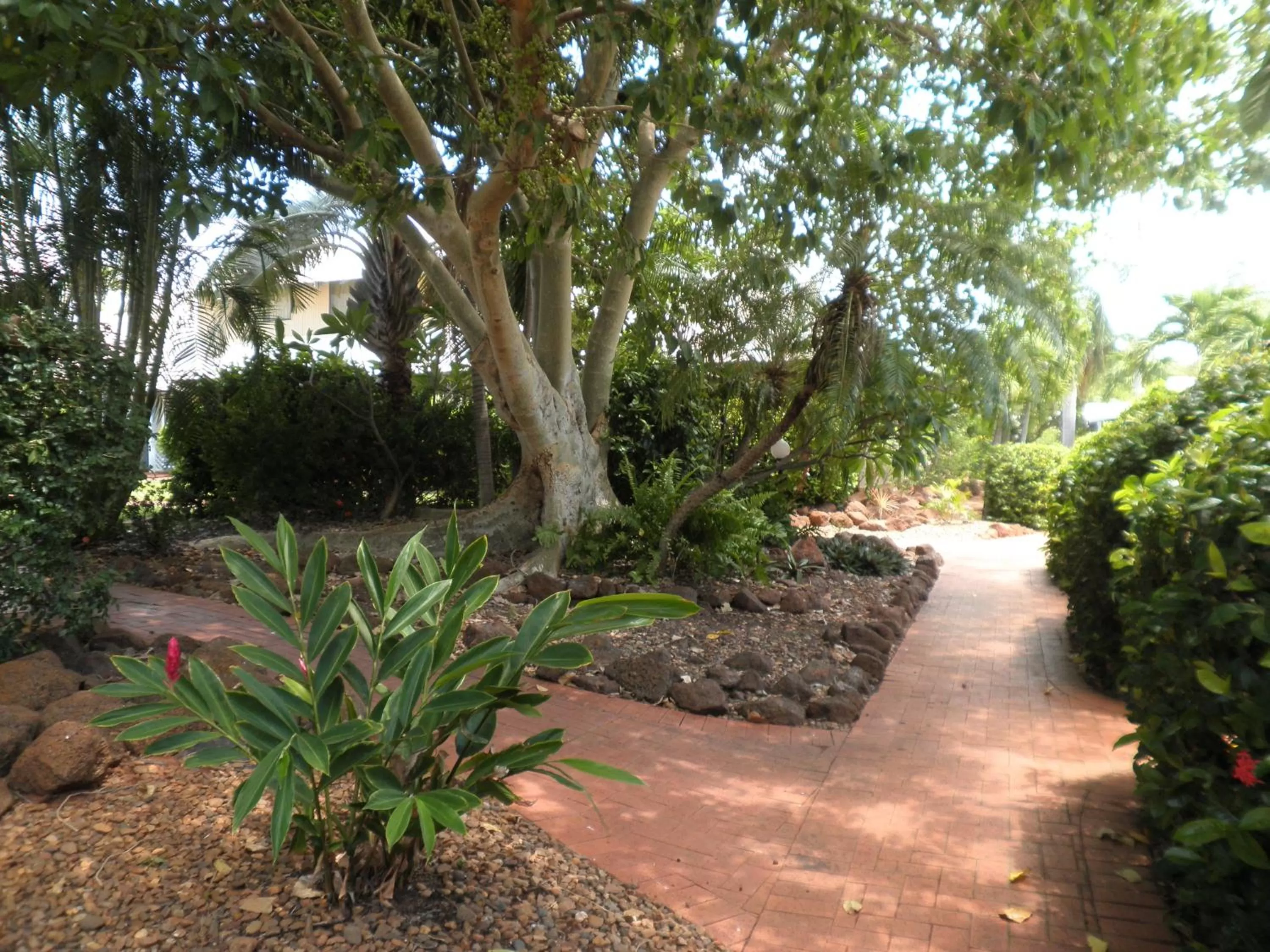 Garden in Broome Beach Resort - Cable Beach, Broome