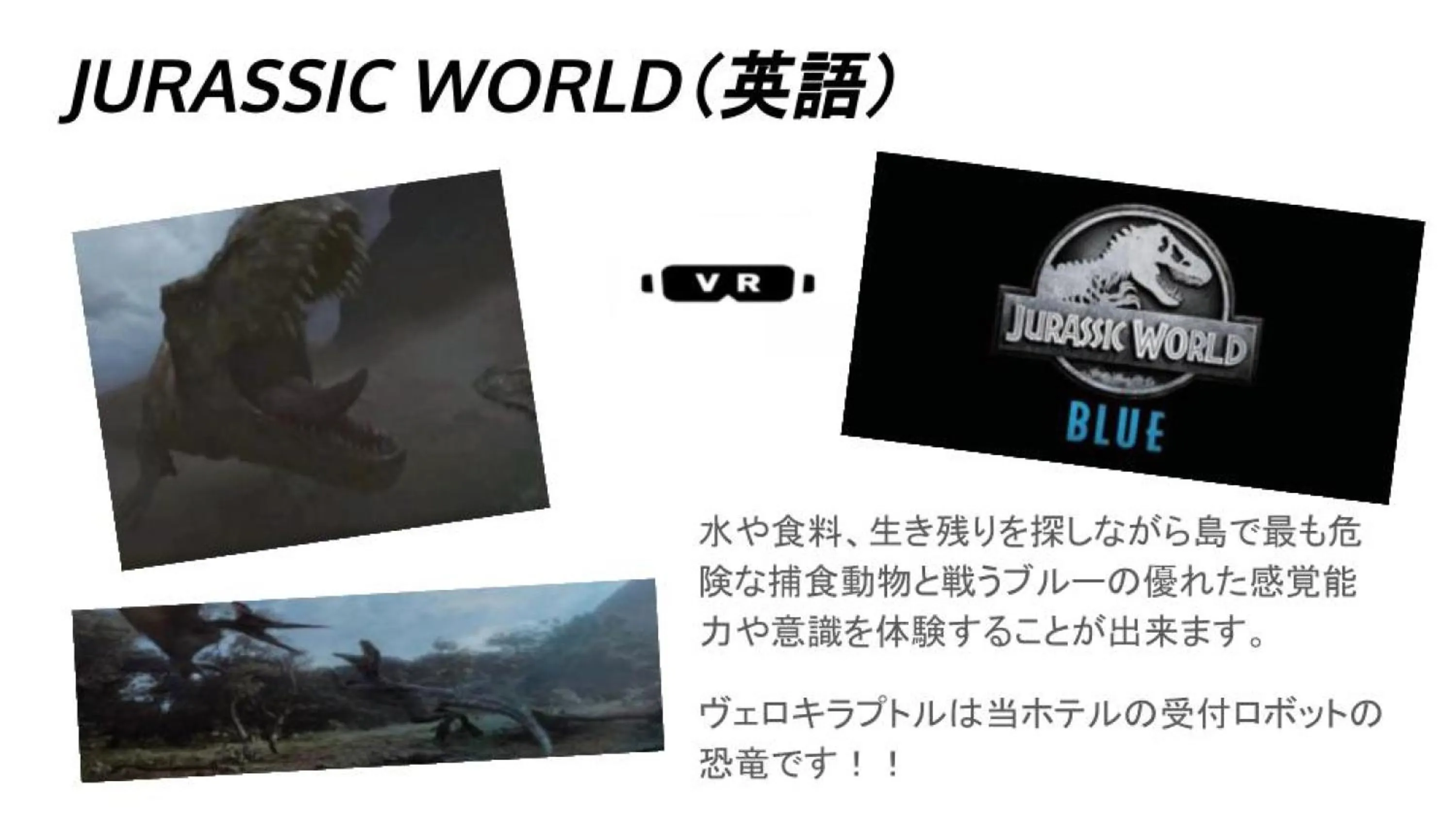 Activities in Henn na Hotel Osaka Namba