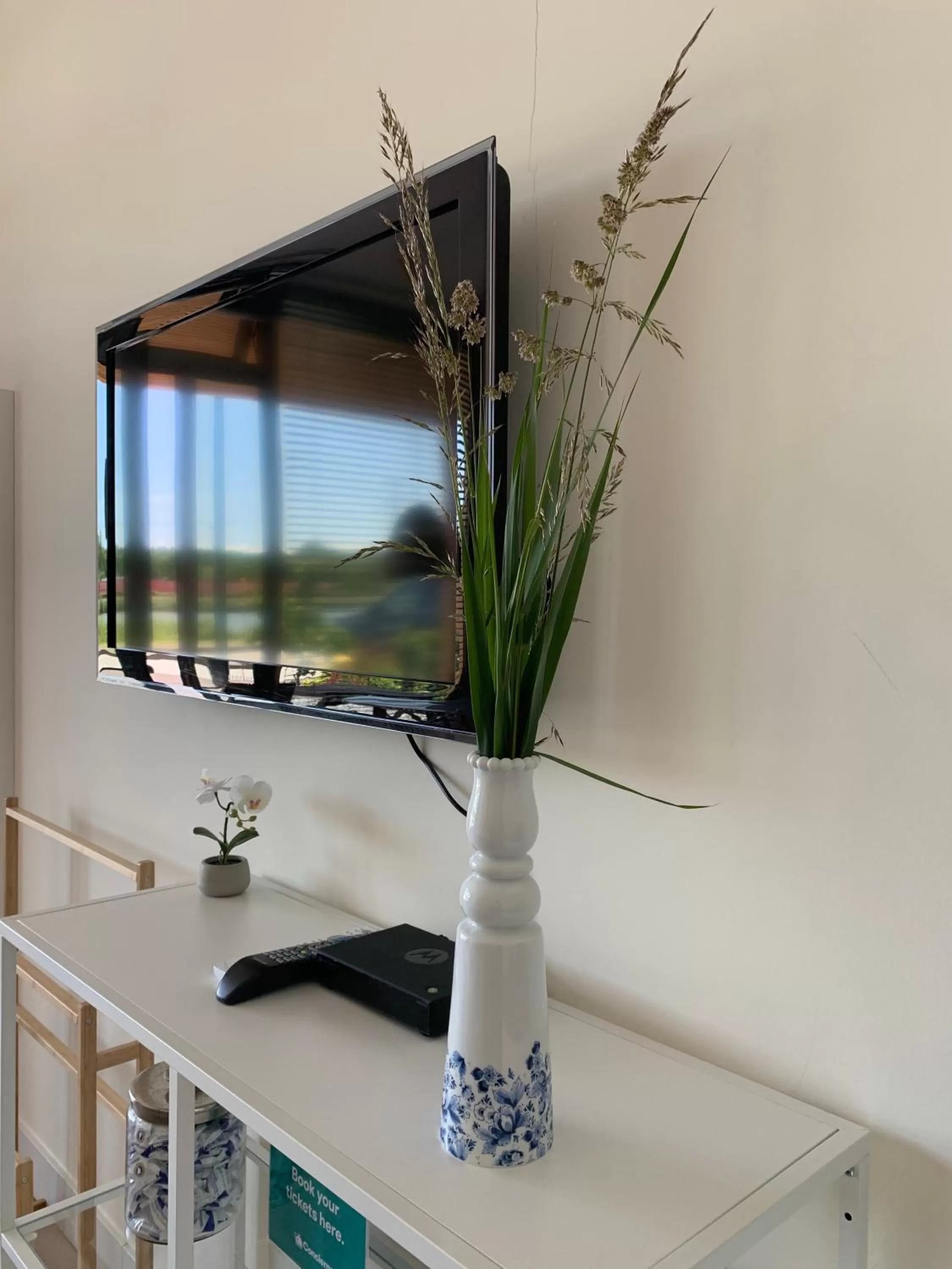 TV and multimedia in Waterfront Studio