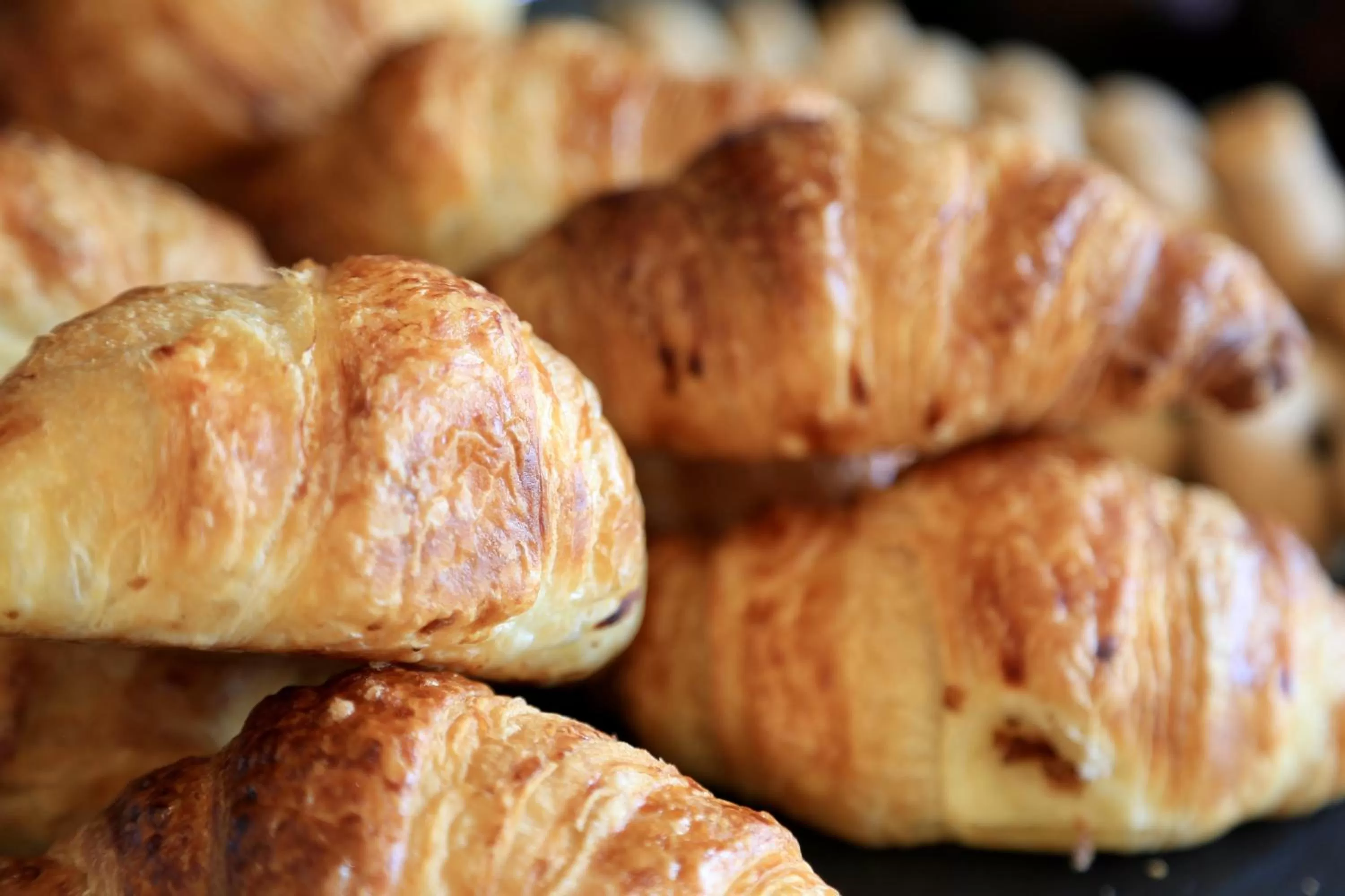 Breakfast in Klima Hotel Milano Fiere