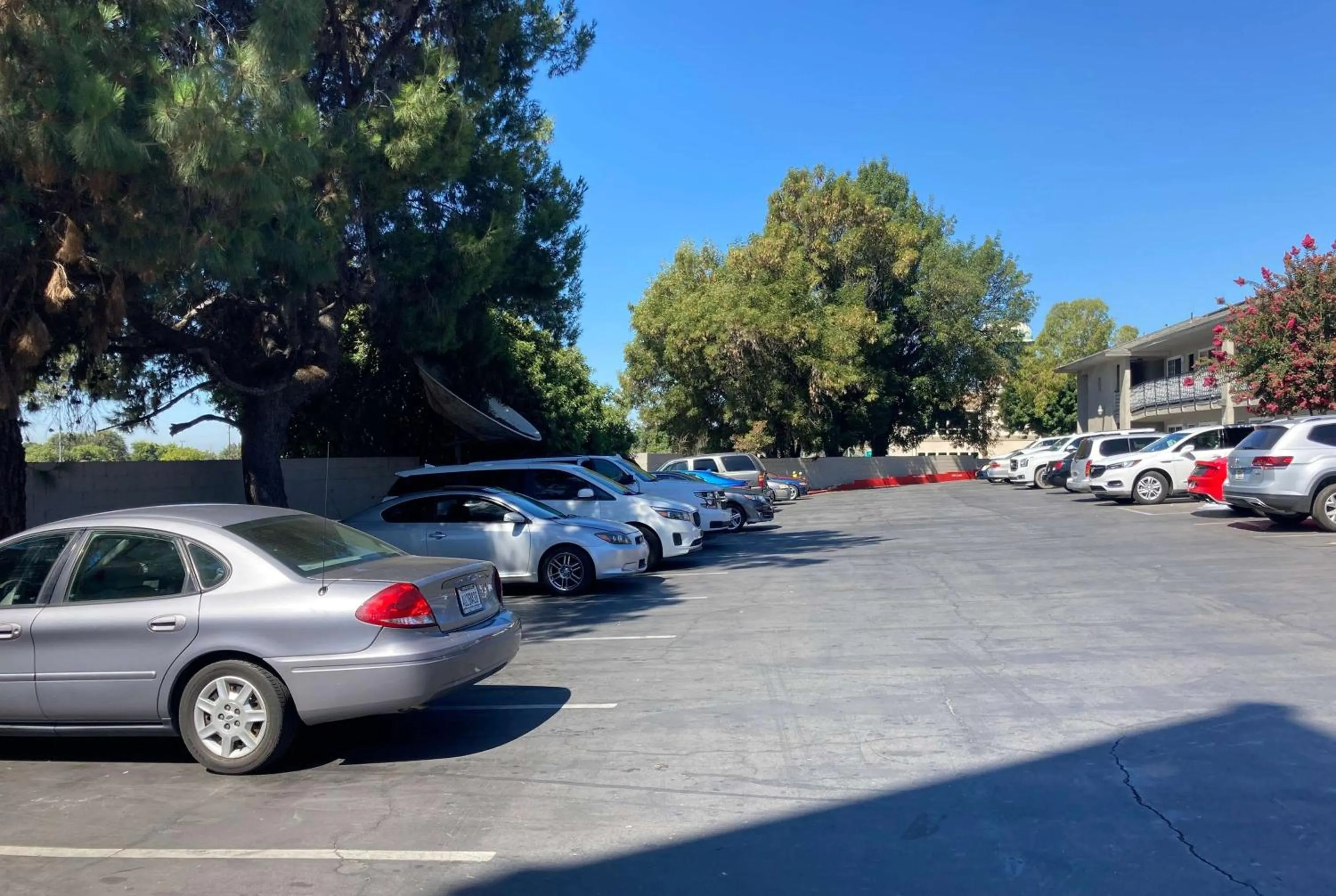 Other in Lemon Tree Motel