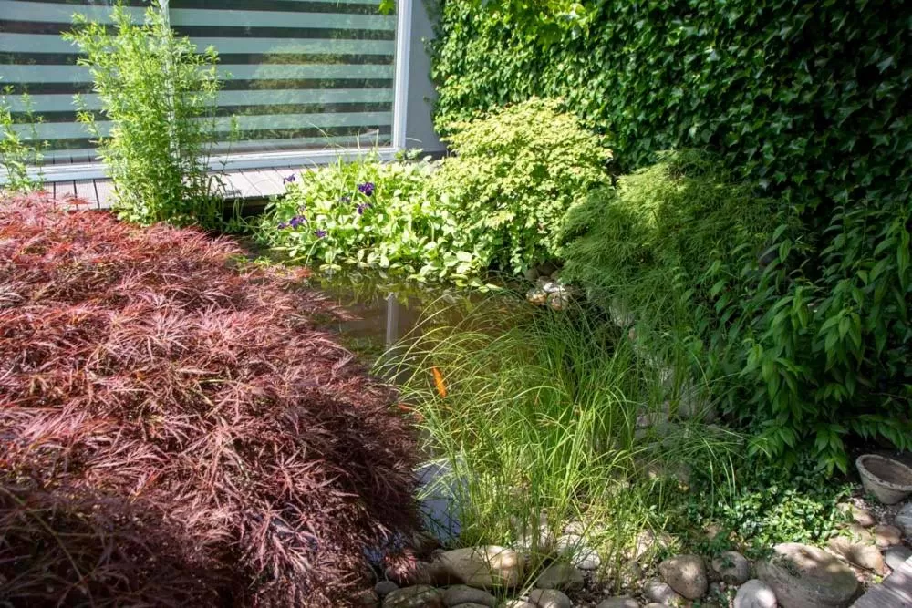 Garden in B and B Suite No.3