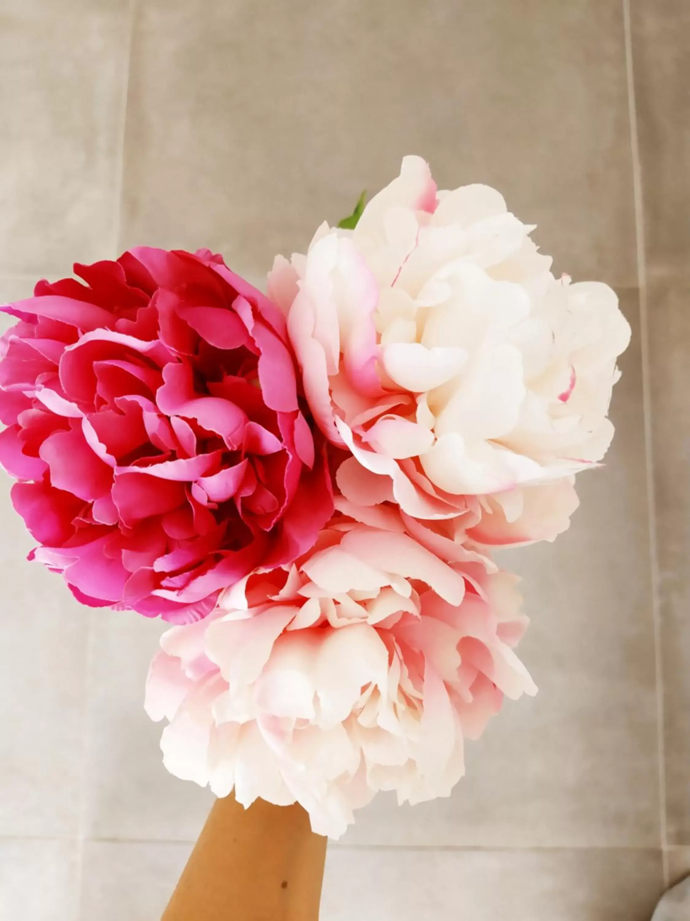 Double Room in B&B Peonia Double Room in B&B Peonia