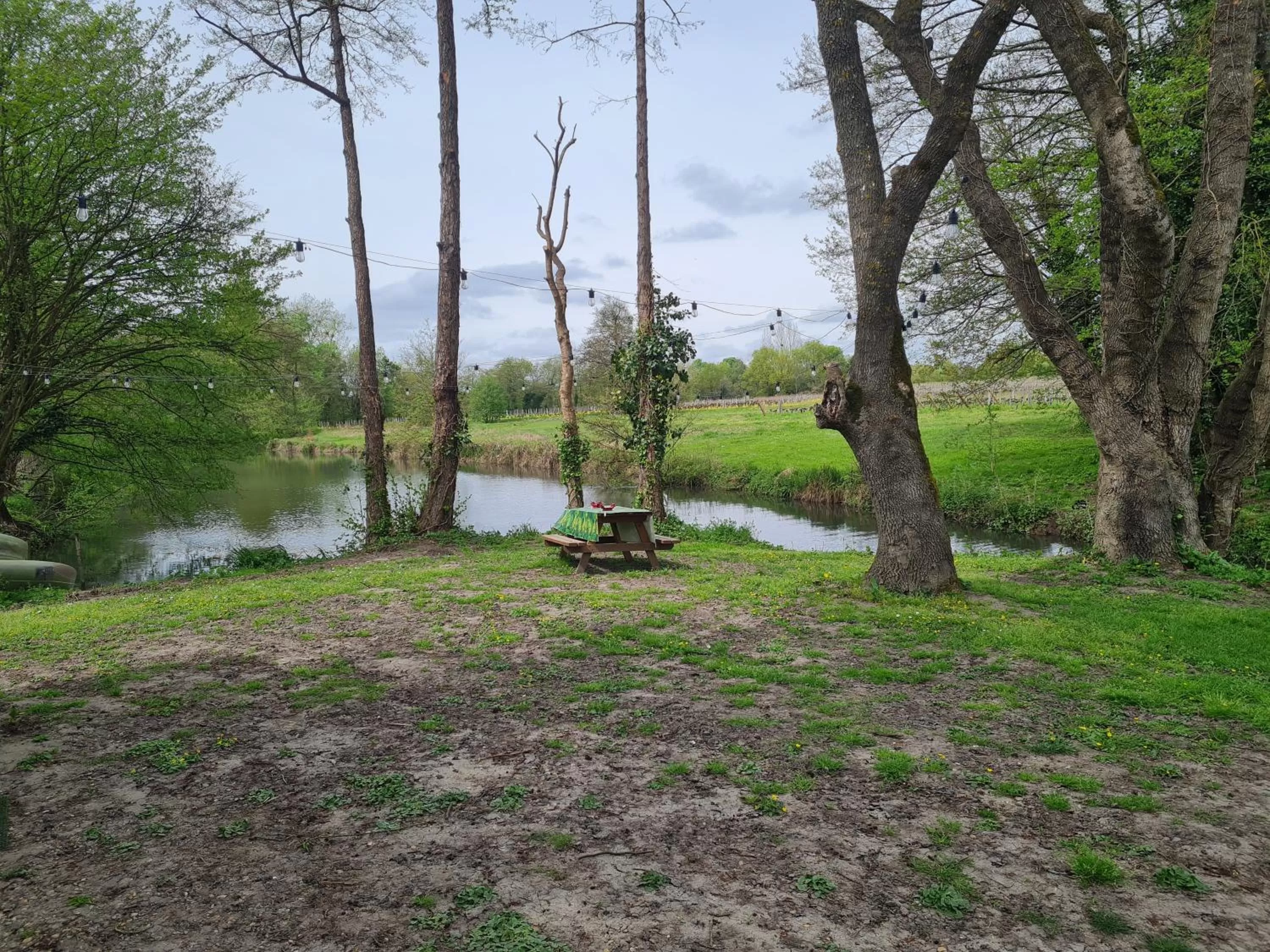 Garden in Roulotte d'Aquitaine