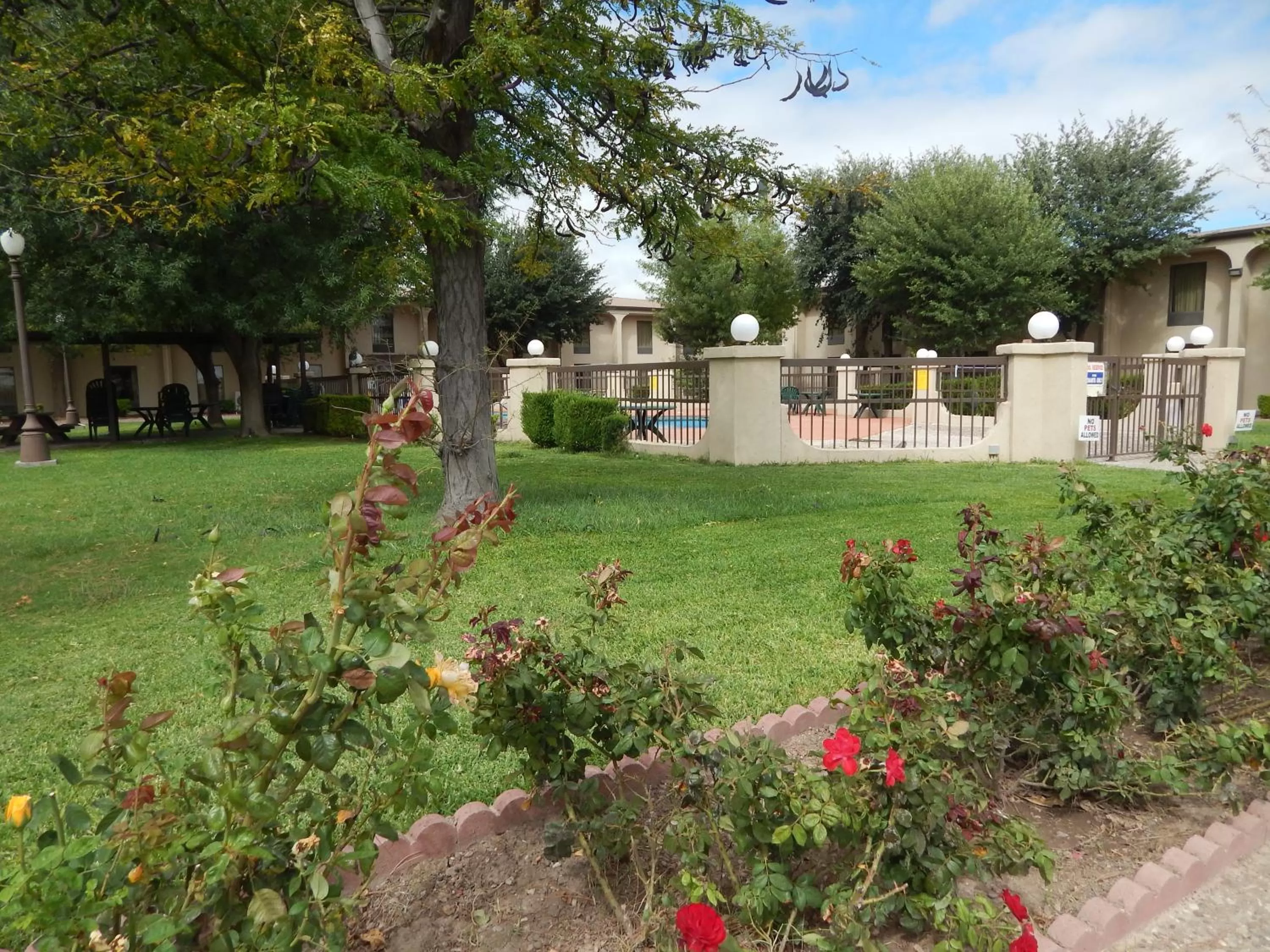 Garden in Super 8 by Wyndham Ft Stockton