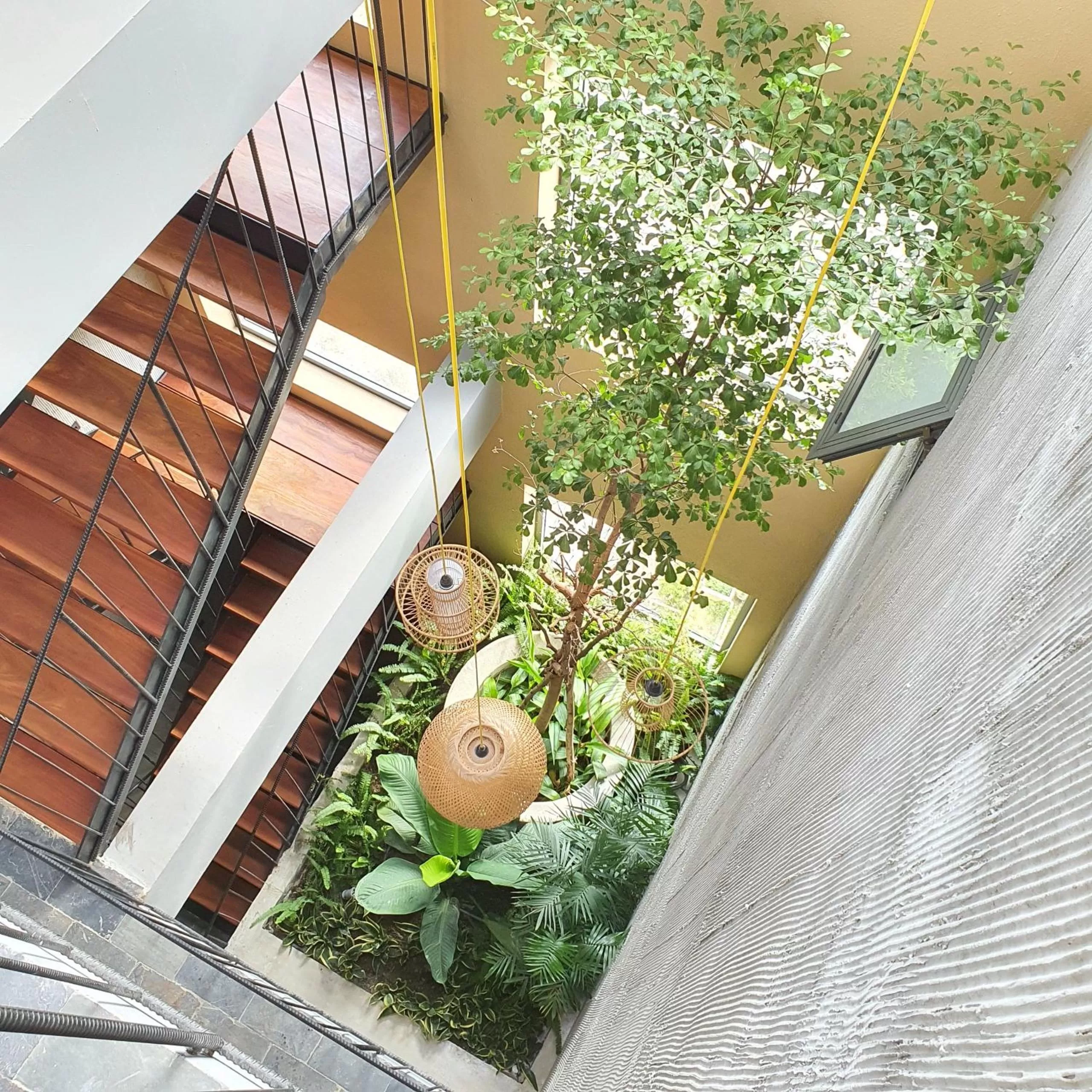 Garden in Cagina Boutique Hostel