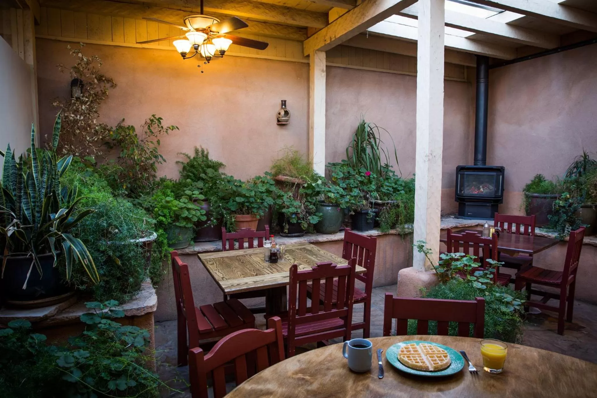 Restaurant/places to eat in Las Palomas