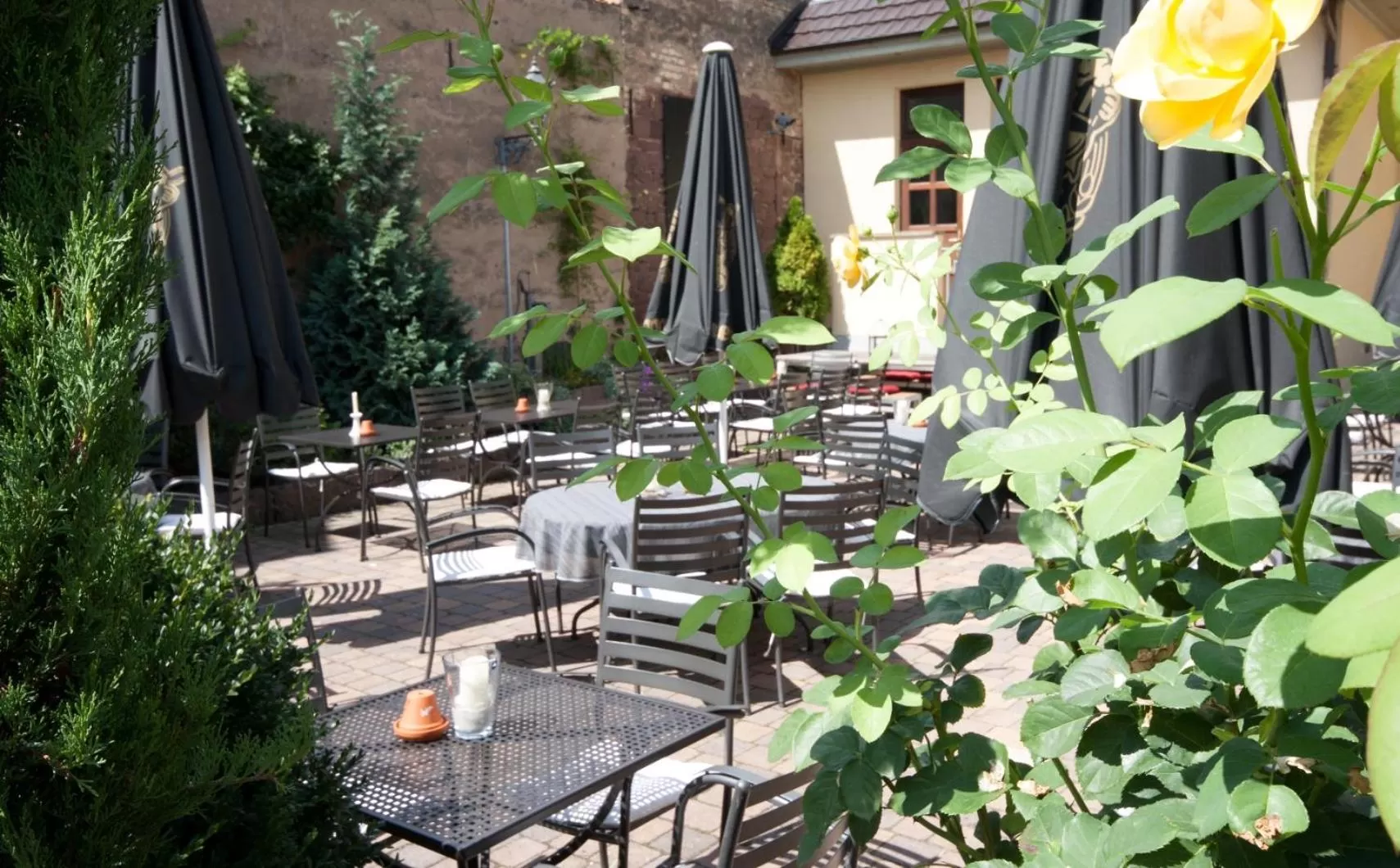 Patio, Restaurant/Places to Eat in Linde Restaurant & Hotel