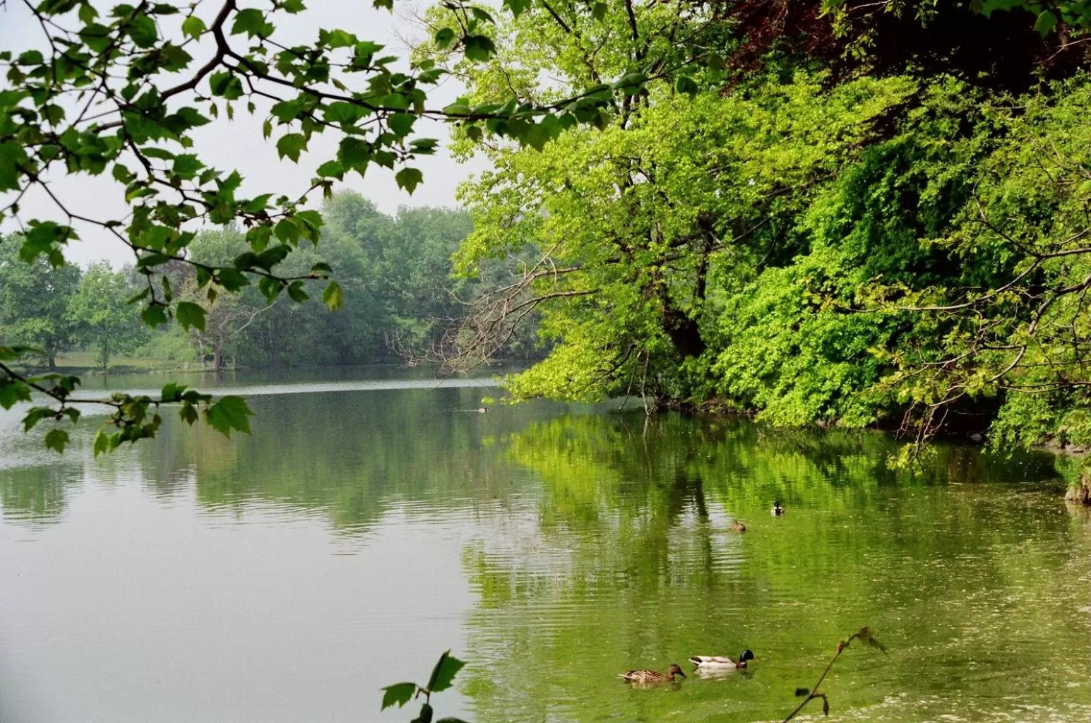 Natural landscape in Hotel im Kavalierhaus