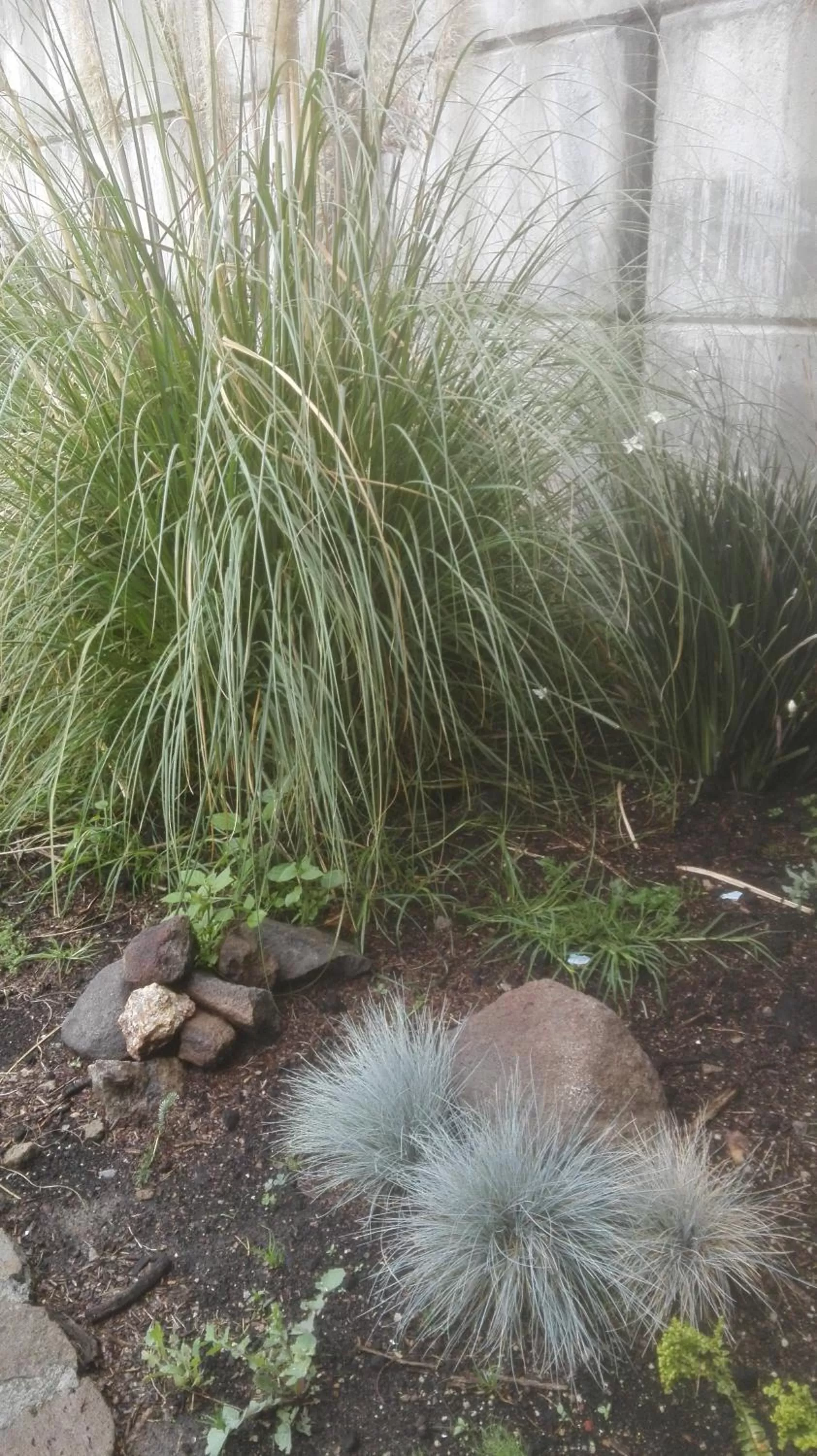 Garden in Casa Villaliz
