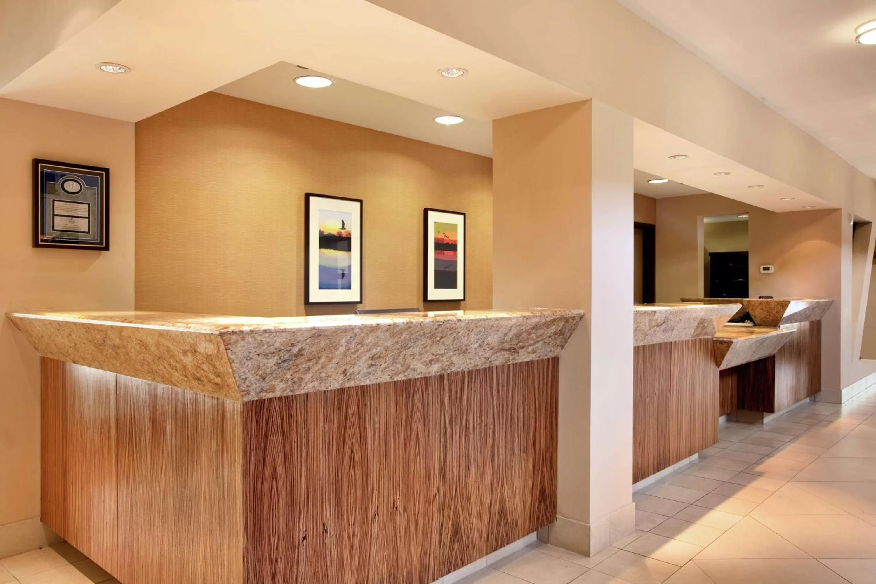 Lobby or reception in Hilton Stockton