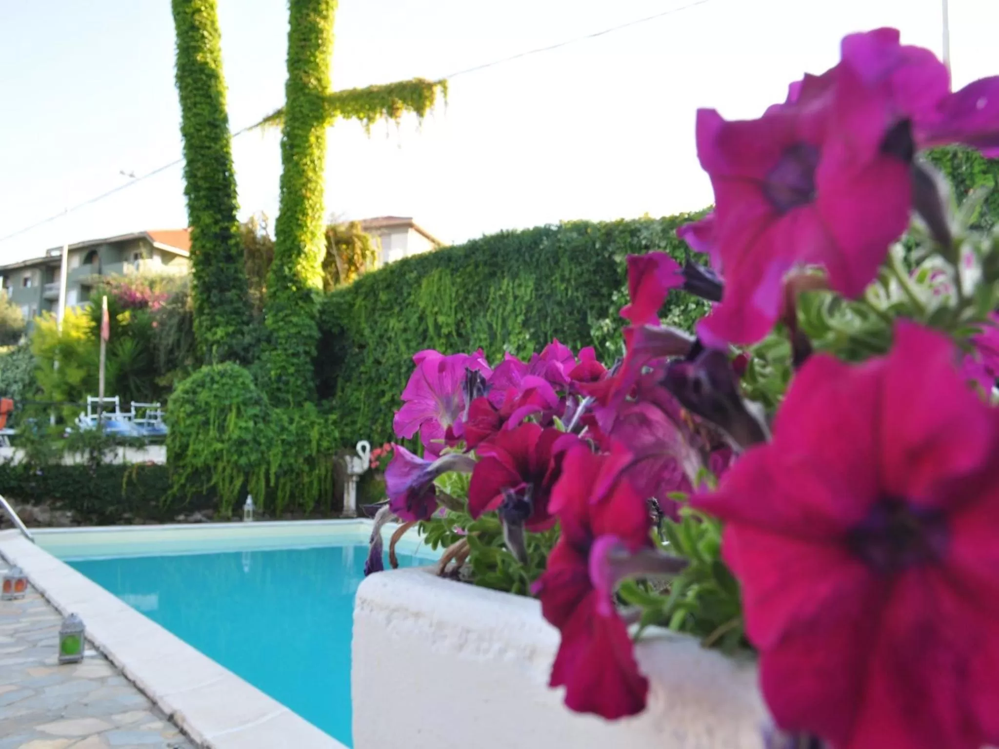 Facade/entrance in Hotel Bellavista