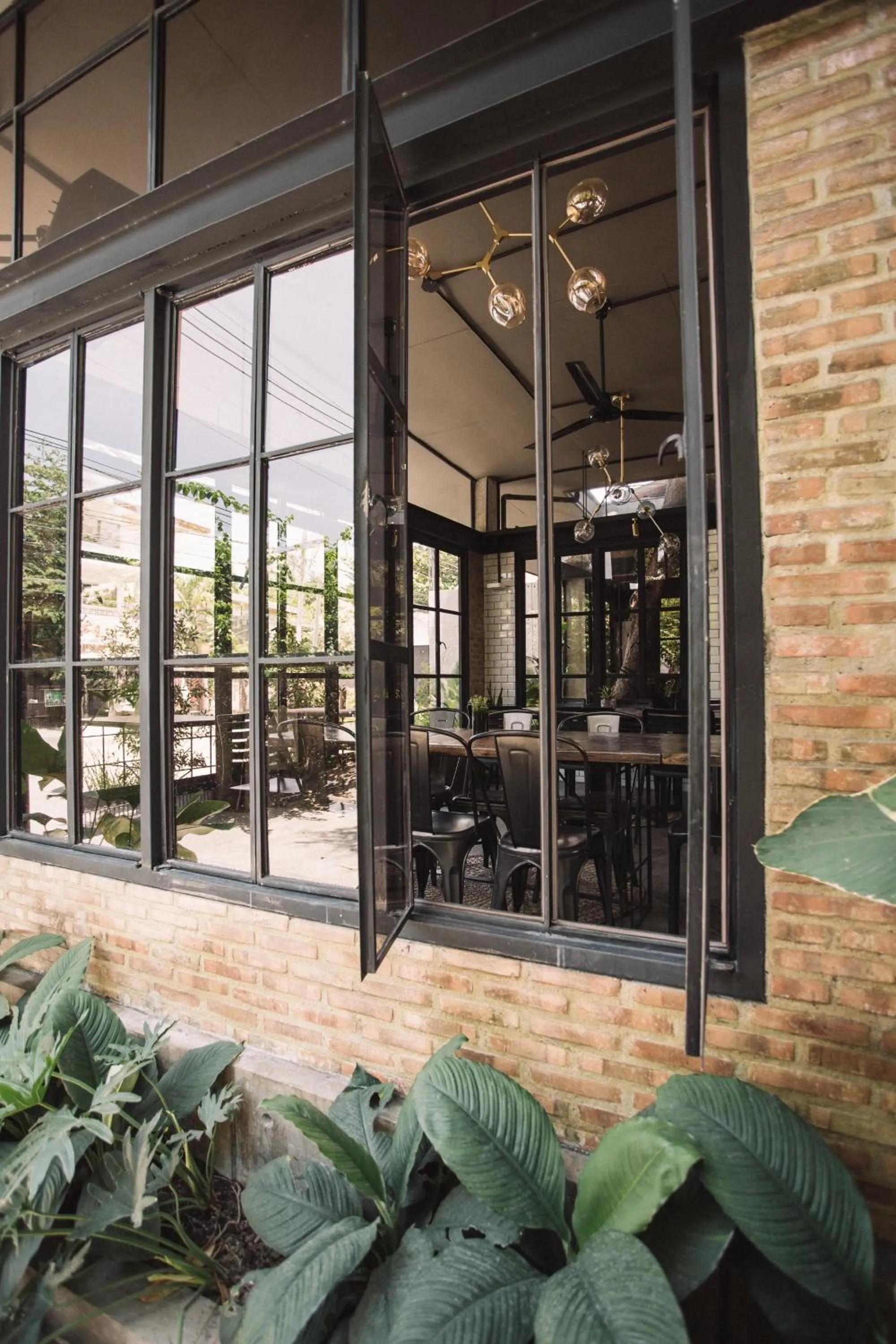 Restaurant/places to eat in The Flying Fish Hostel