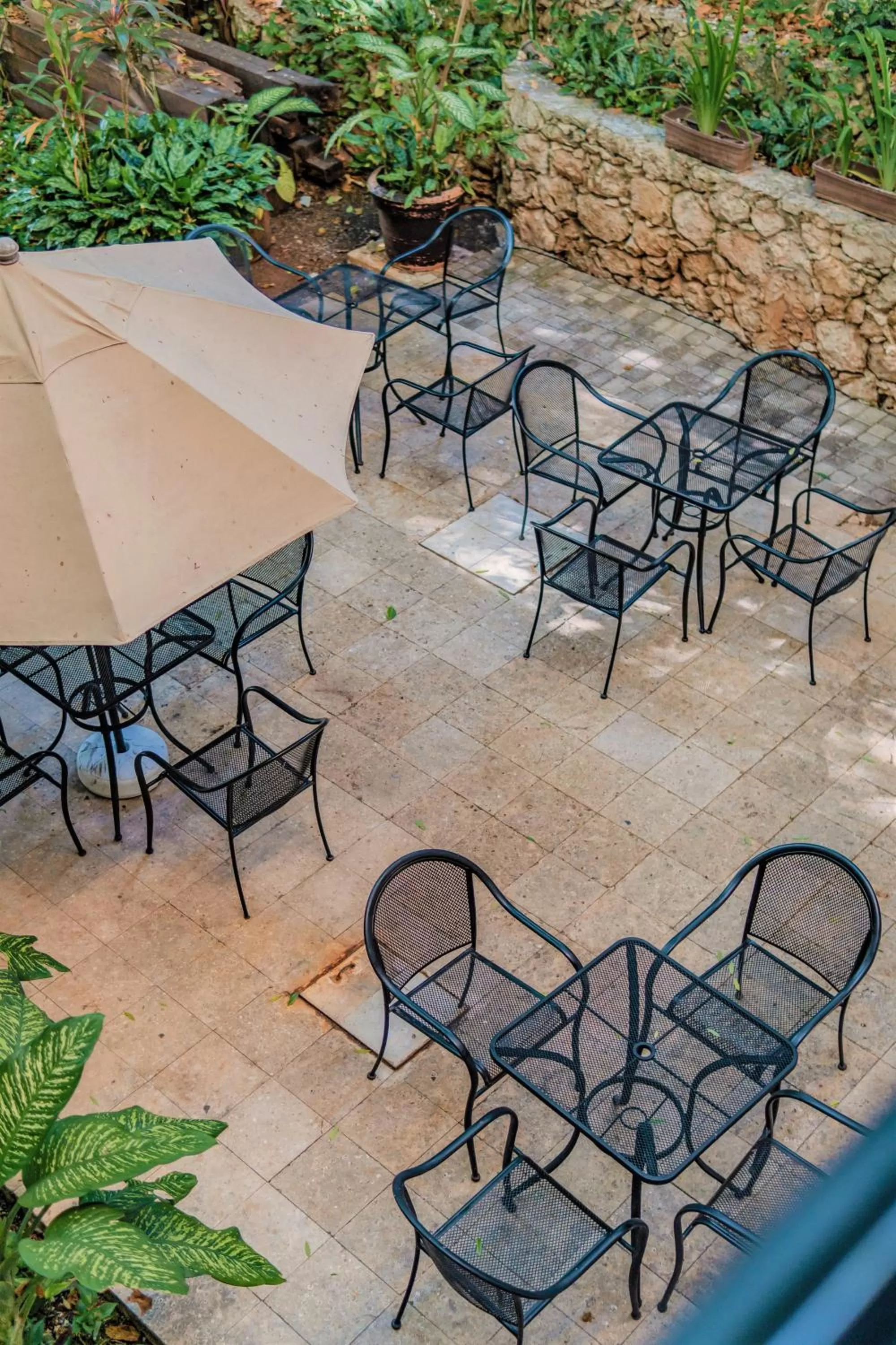 Garden in Maison del Embajador