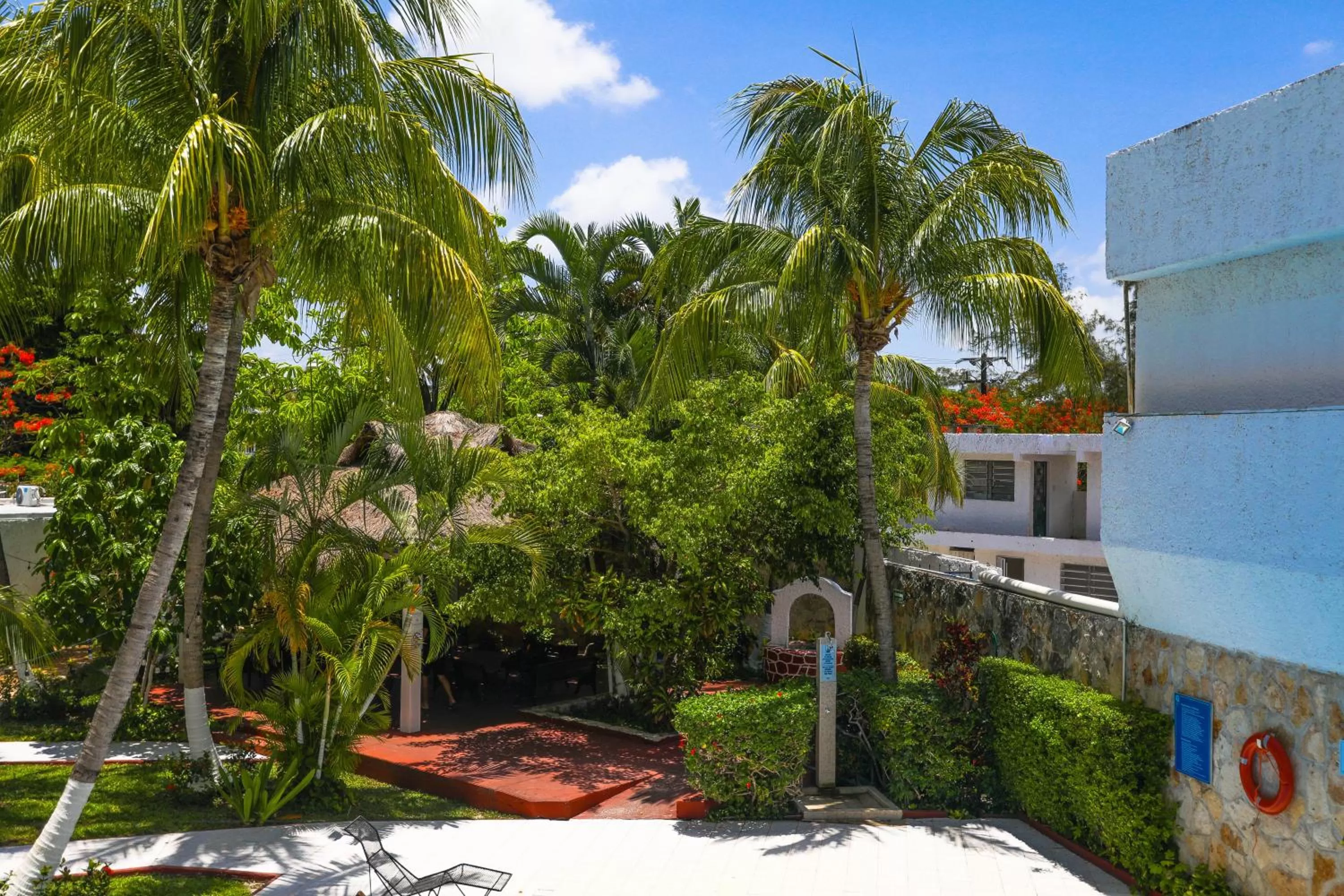 Garden in Hotel Caribe Internacional Cancun