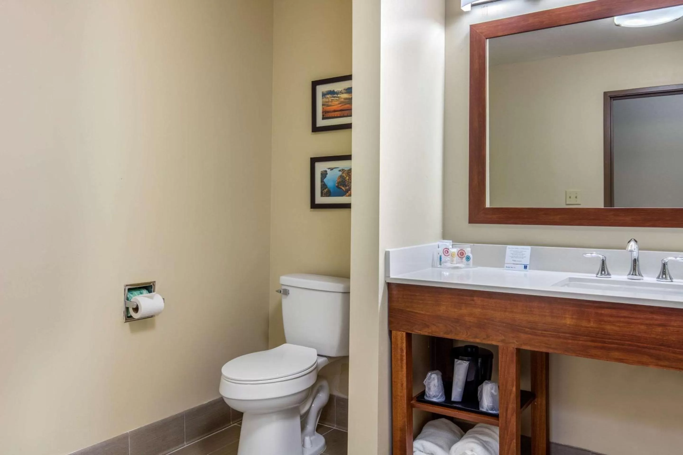 Photo of the whole room in Comfort Inn & Suites McComb