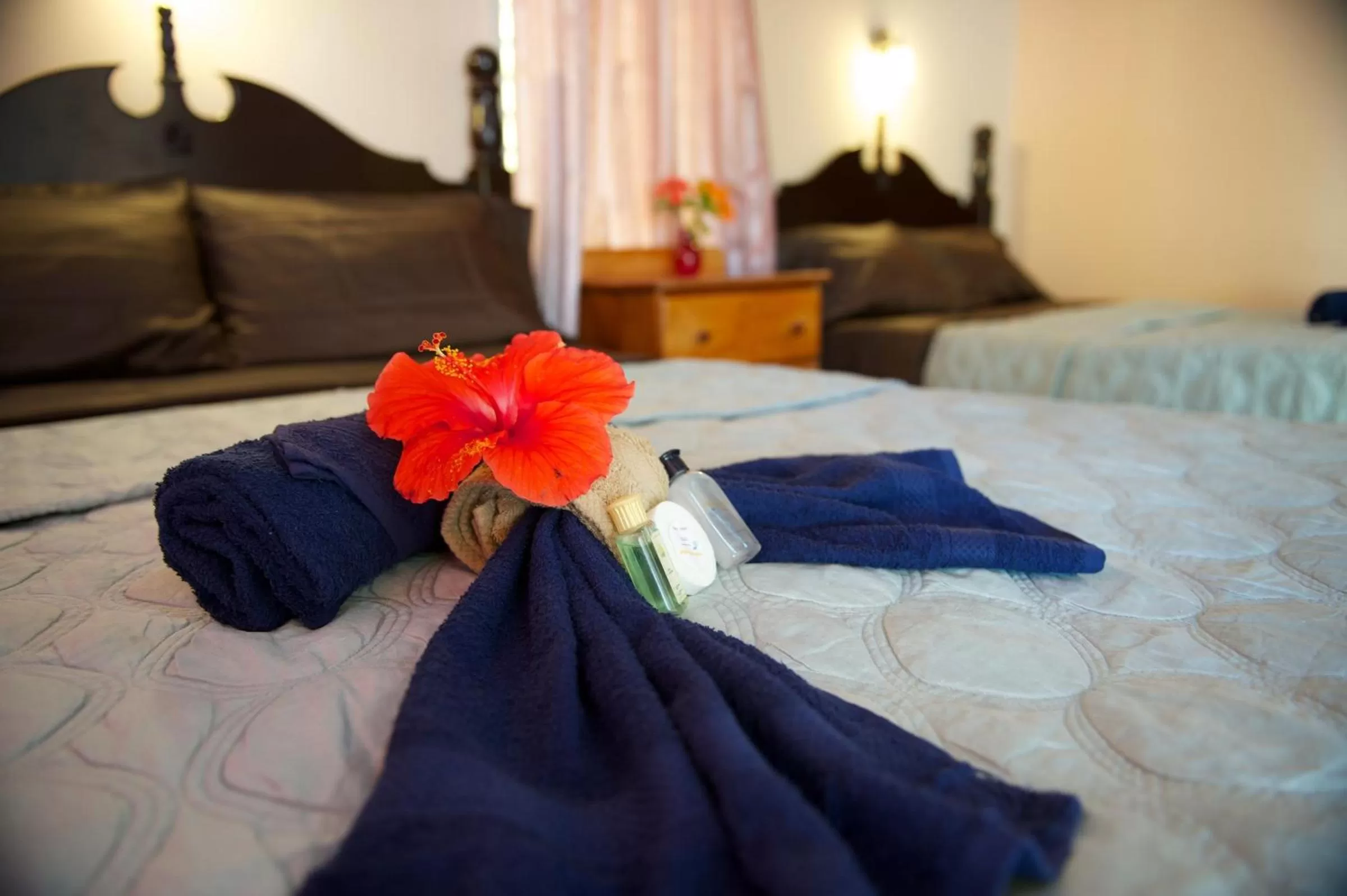 Photo of the whole room, Bed in Tropical Paradise