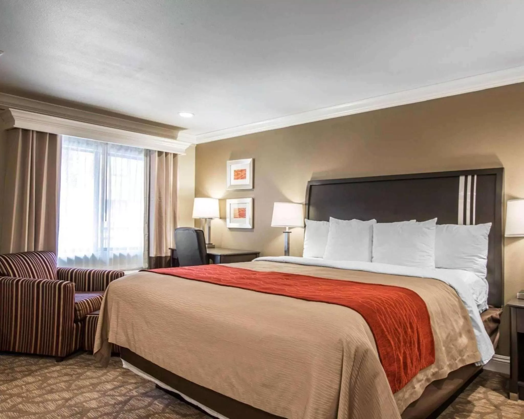 Photo of the whole room, Bed in Quality Inn Downey