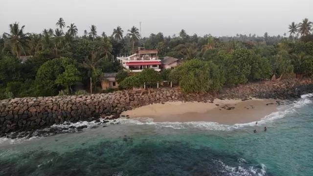 Natural landscape, Beach in New Ocean Vibes