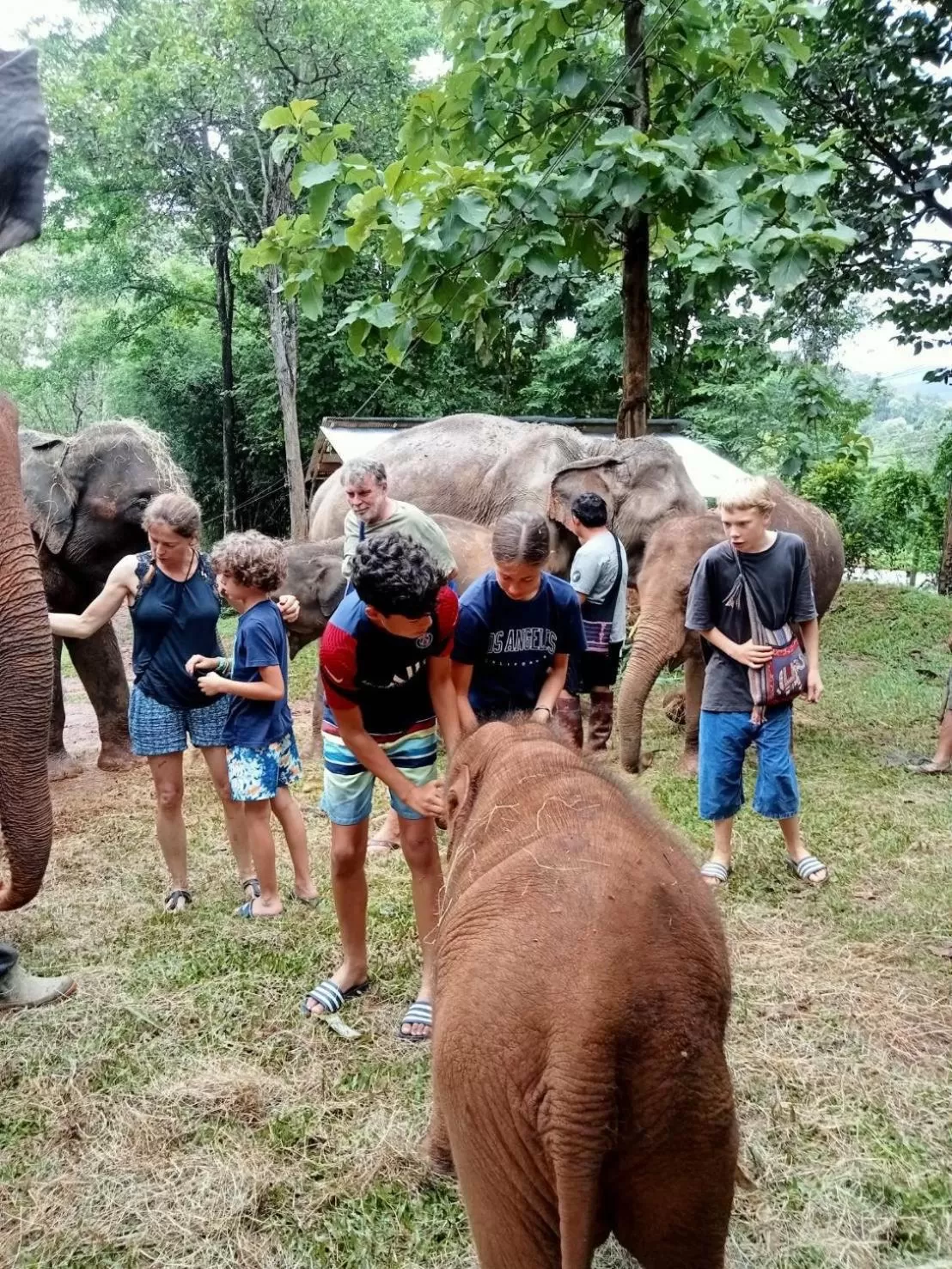Natural landscape, Children in THAI HOTEL CHIANGMAI