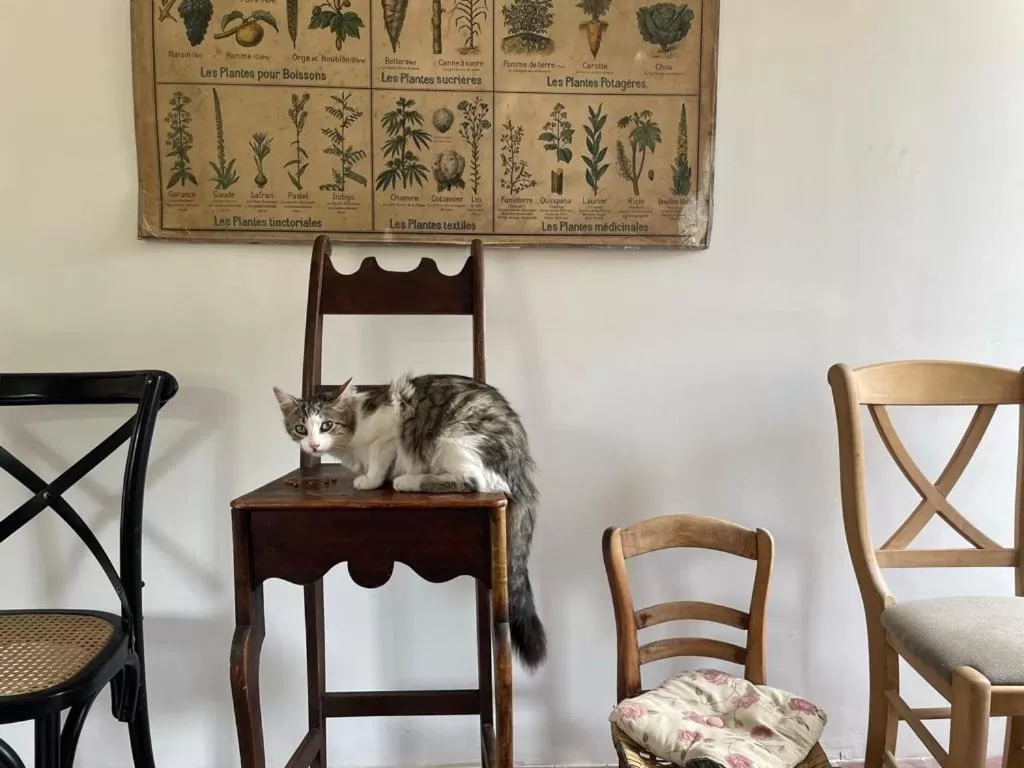 Internal: Not applicable to any particular room, Seating Area in La Chaise Haute