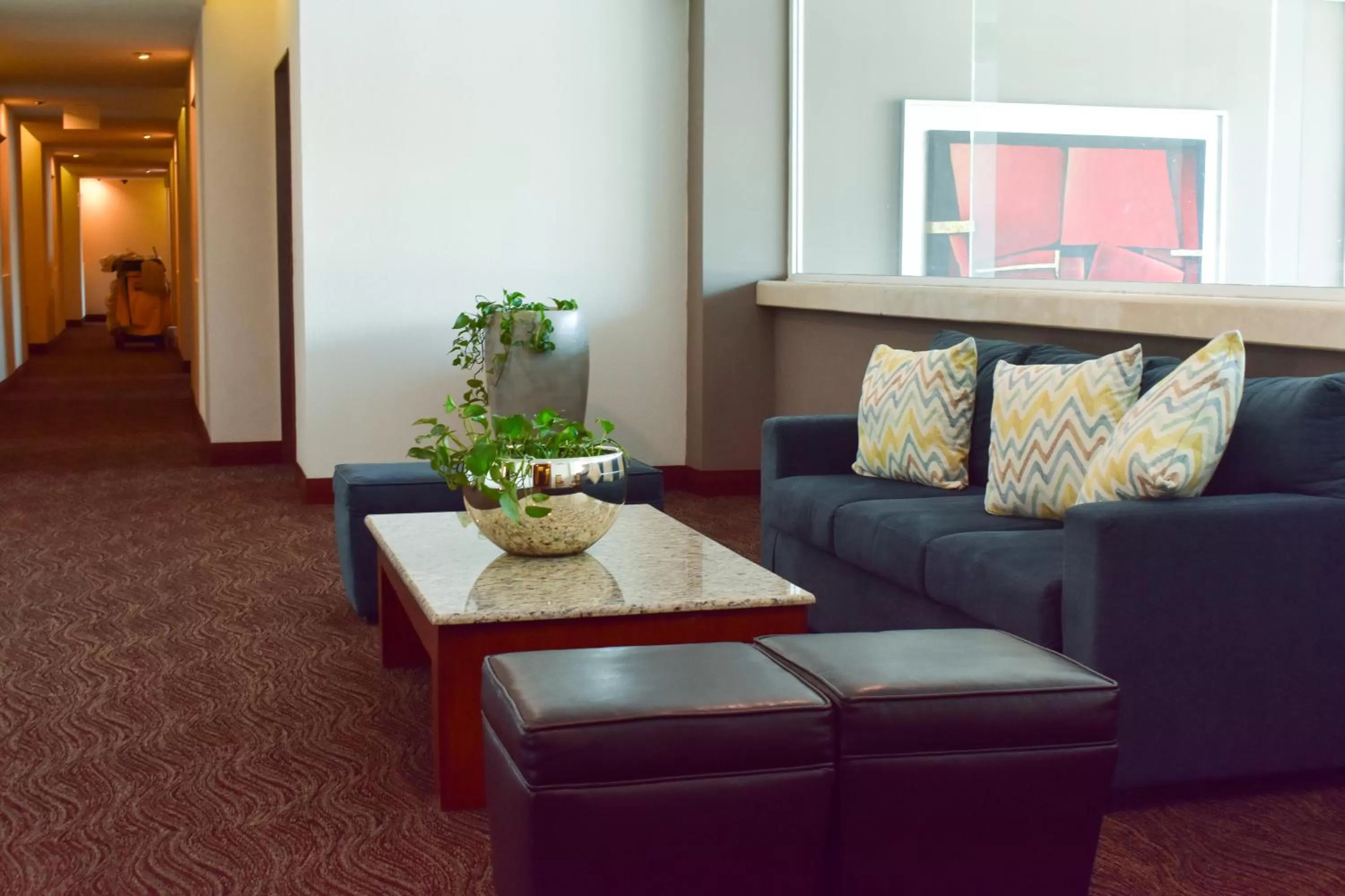 Area and facilities in Hotel Portobelo