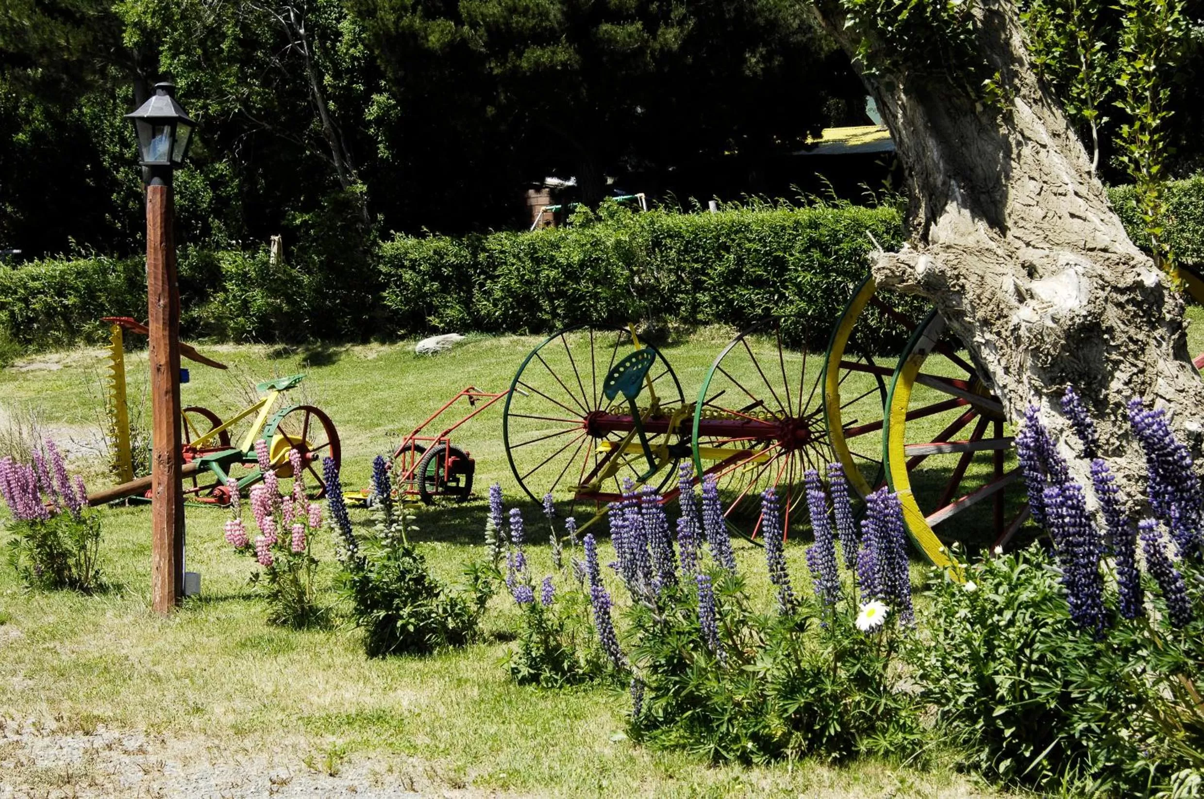 Garden in Hotel Sierra Nevada