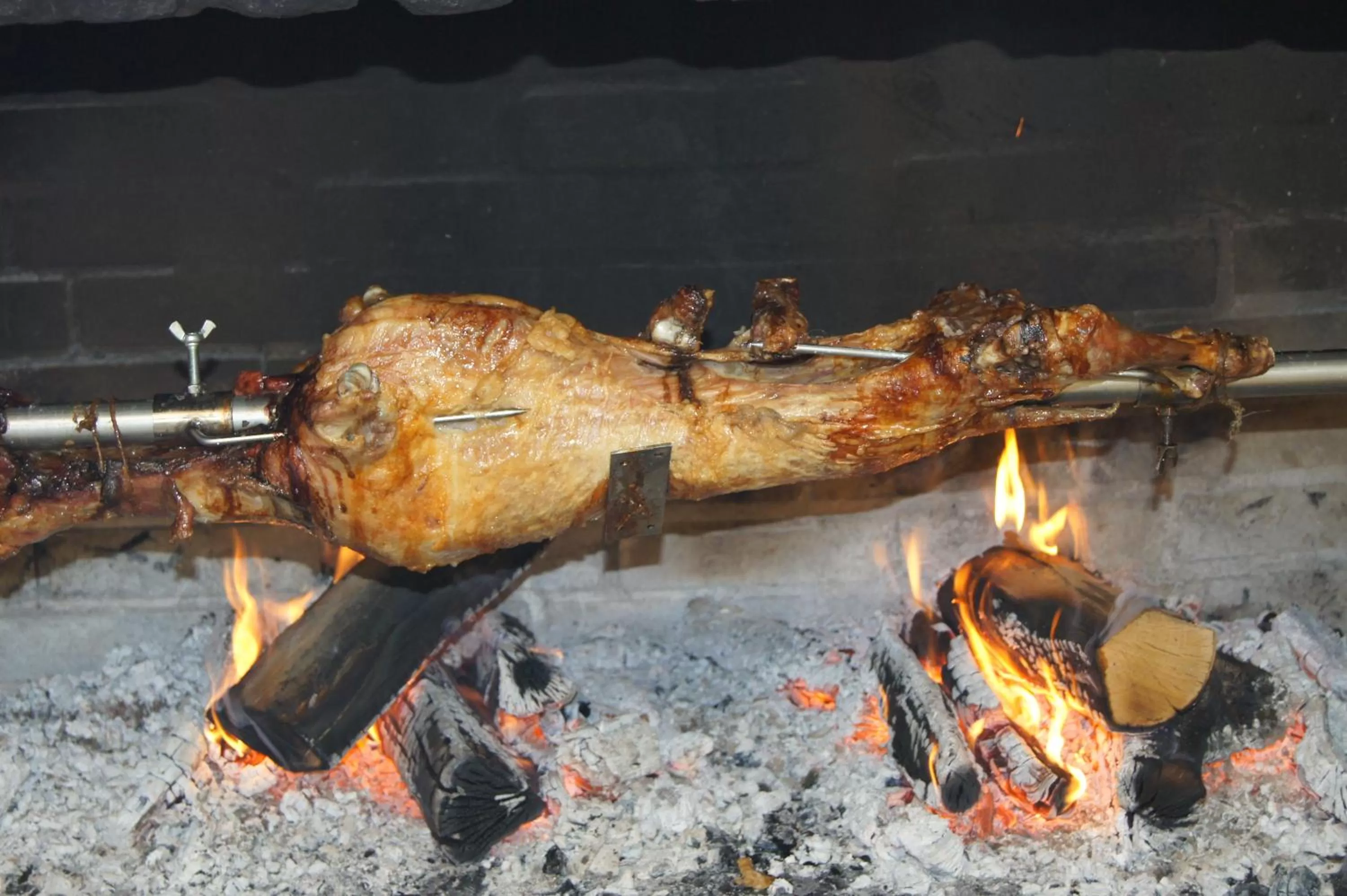 Food and drinks, Other Animals in B&B Garestin