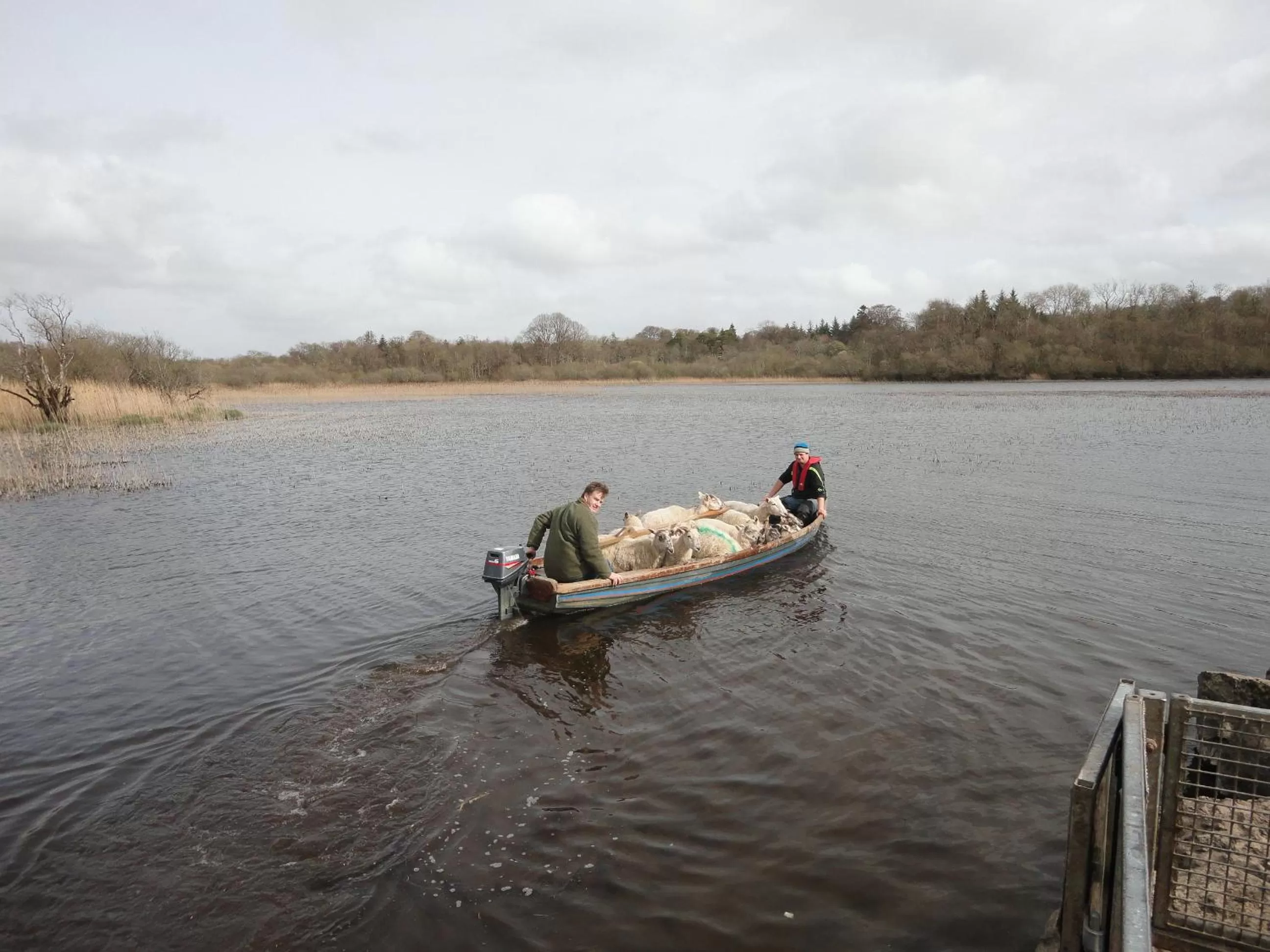 Area and facilities in Temple House