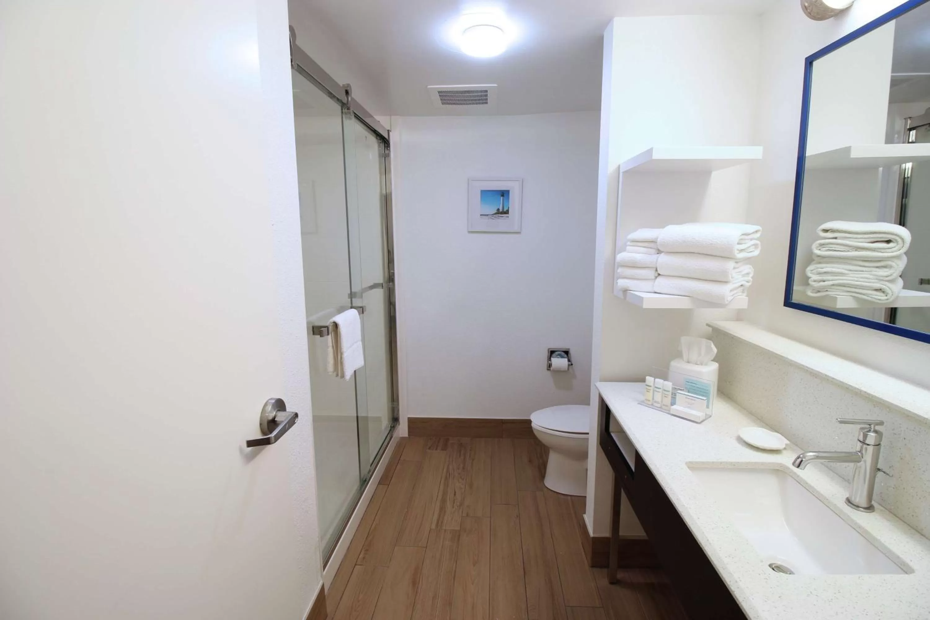 Bathroom in Hampton Inn & Suites Palm Coast