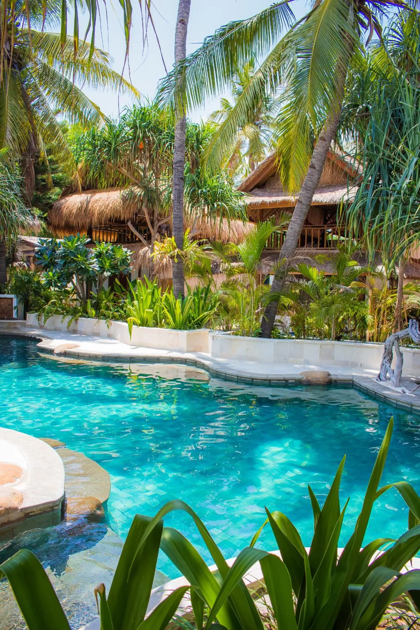 Pool view in Sunrise Resort