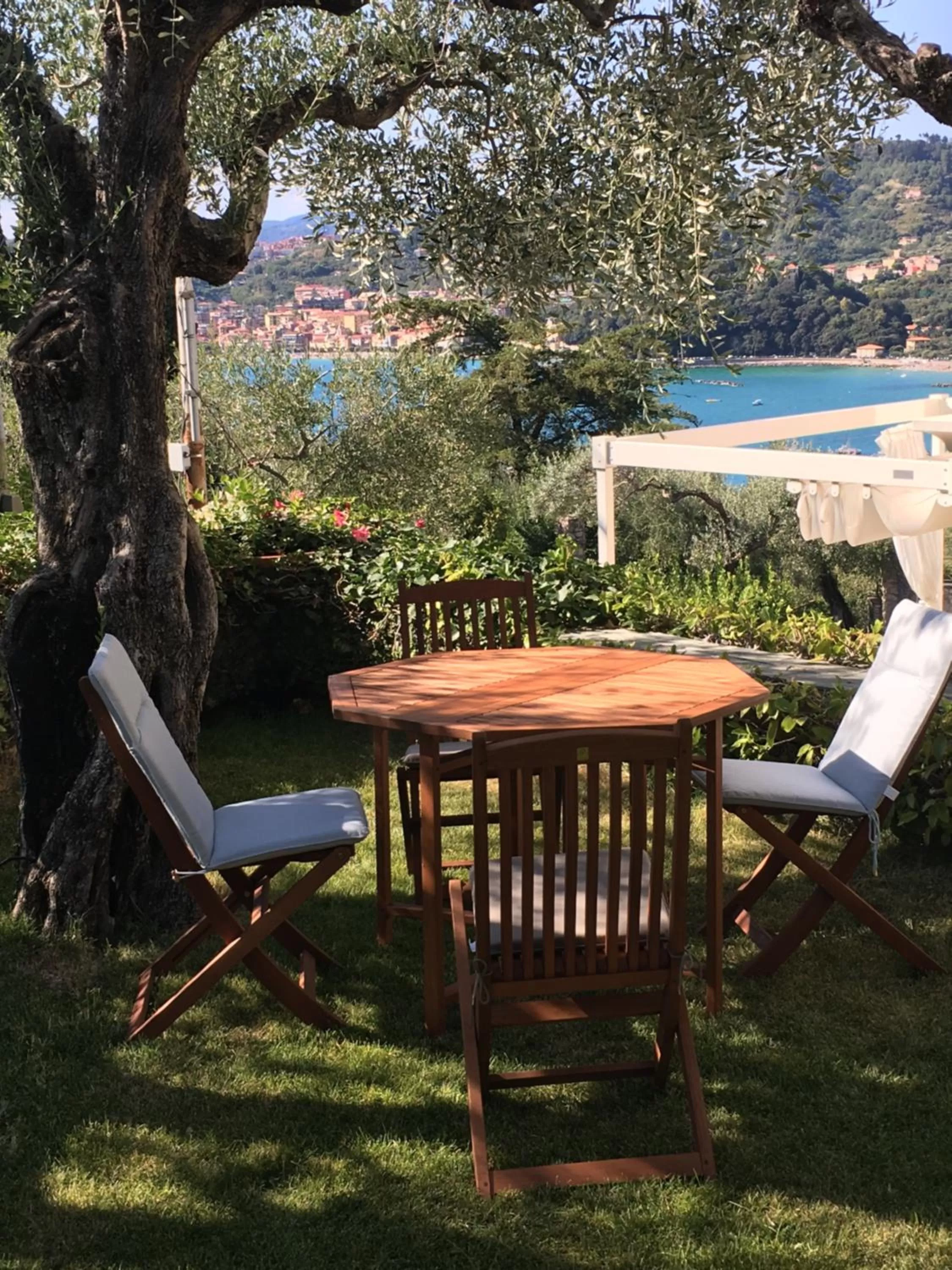 Garden, Swimming Pool in Velamica Resort