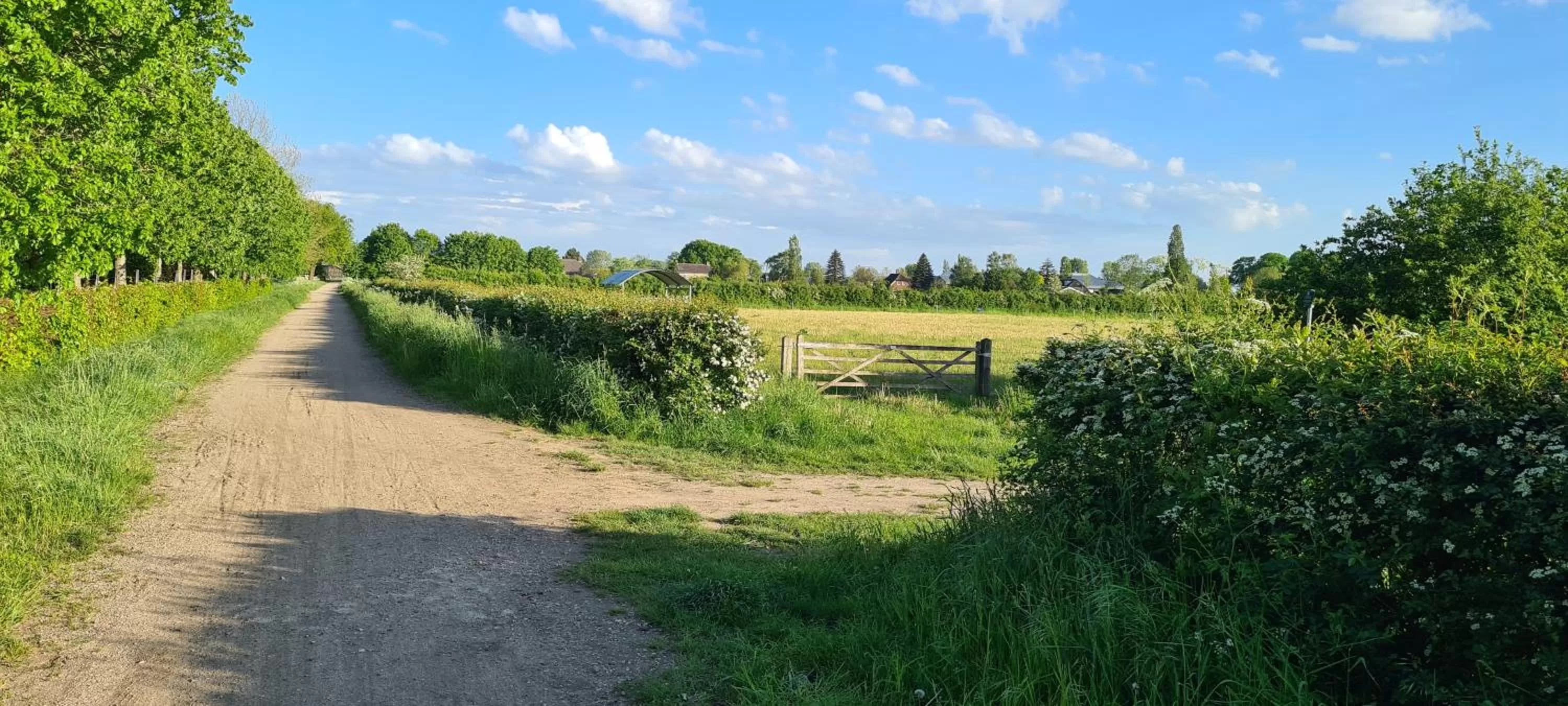 On site in Bed & Breakfast "Aan de Bagijnstraat".